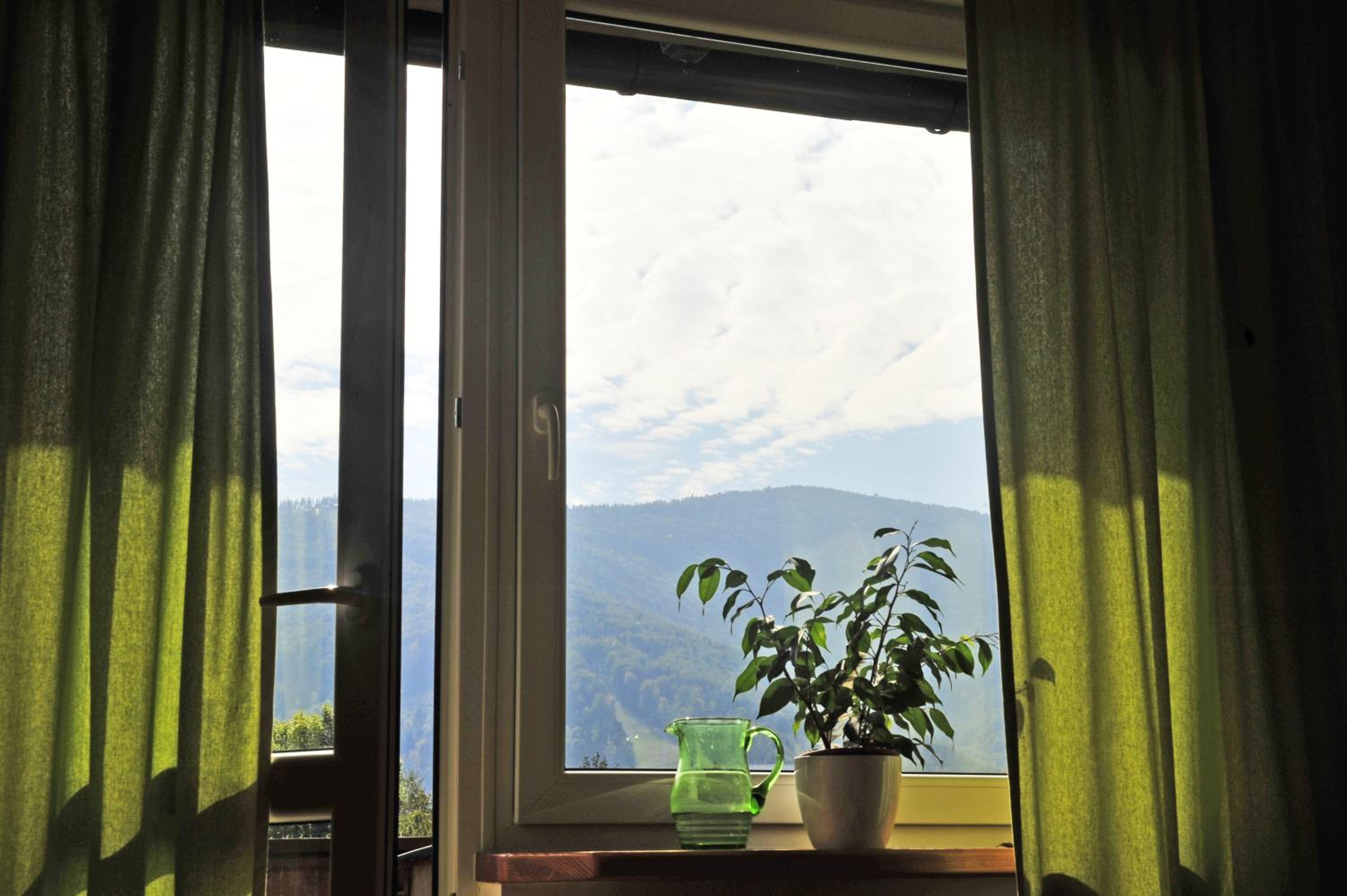 Family Room with Mountain View photo 2