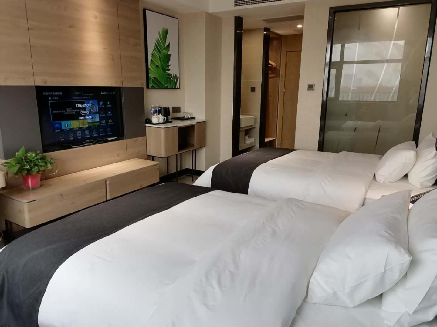 Premium Twin Room photo 1