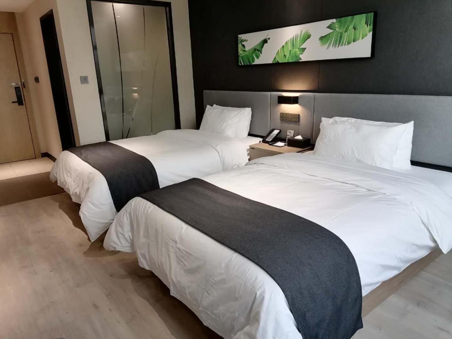 Superior Twin Room  photo 3