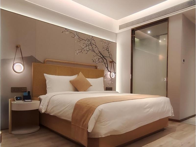 Lanjin Executive Double Room With Theme