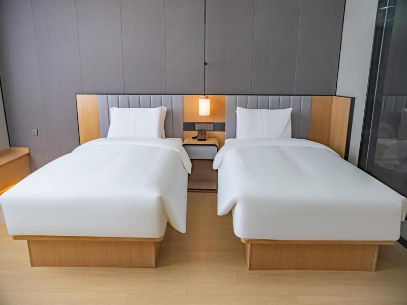 Intelligent Superior Twin Room