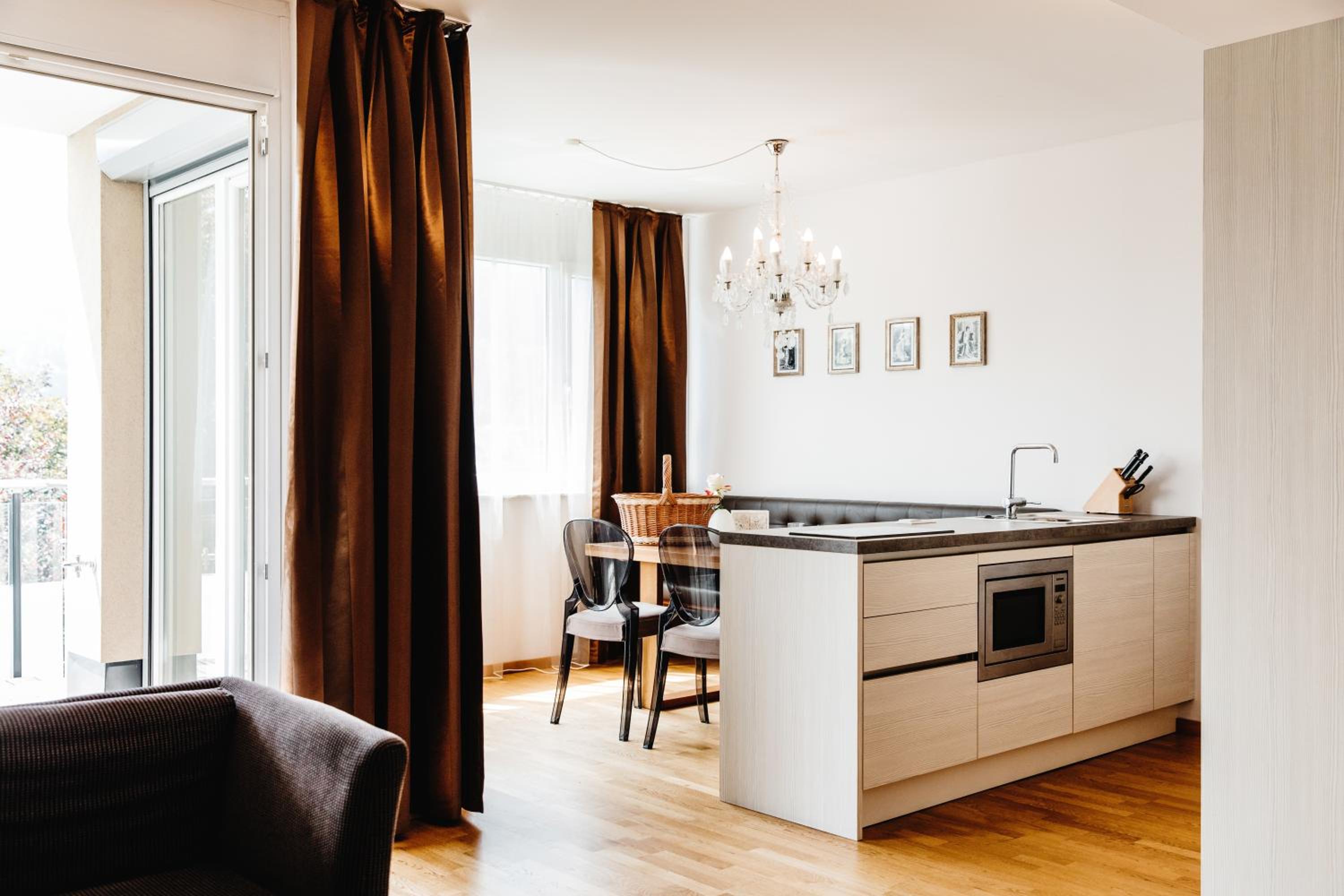 One-Bedroom Apartment with Lake View photo 3