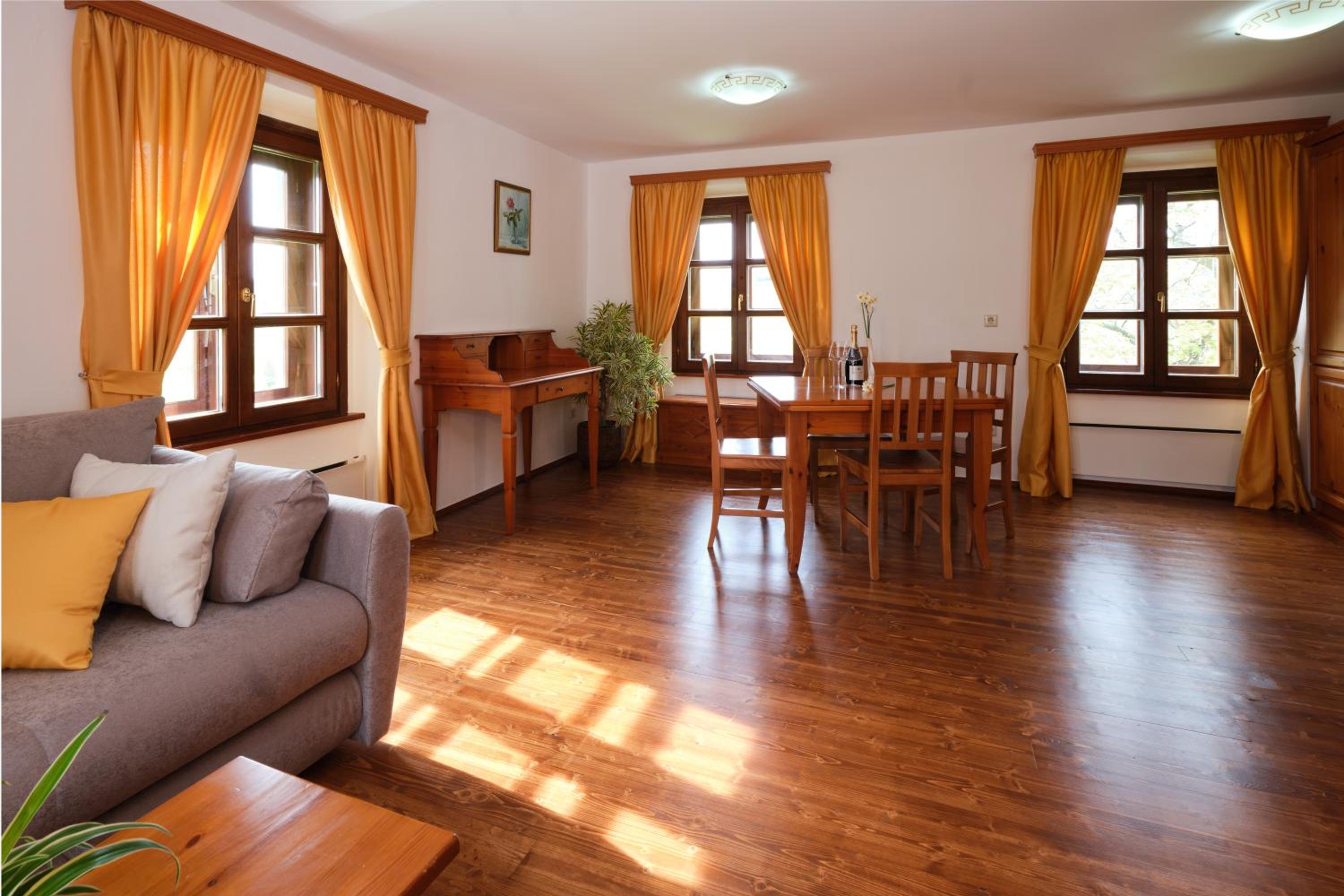 Apartment Trta - Photo 14