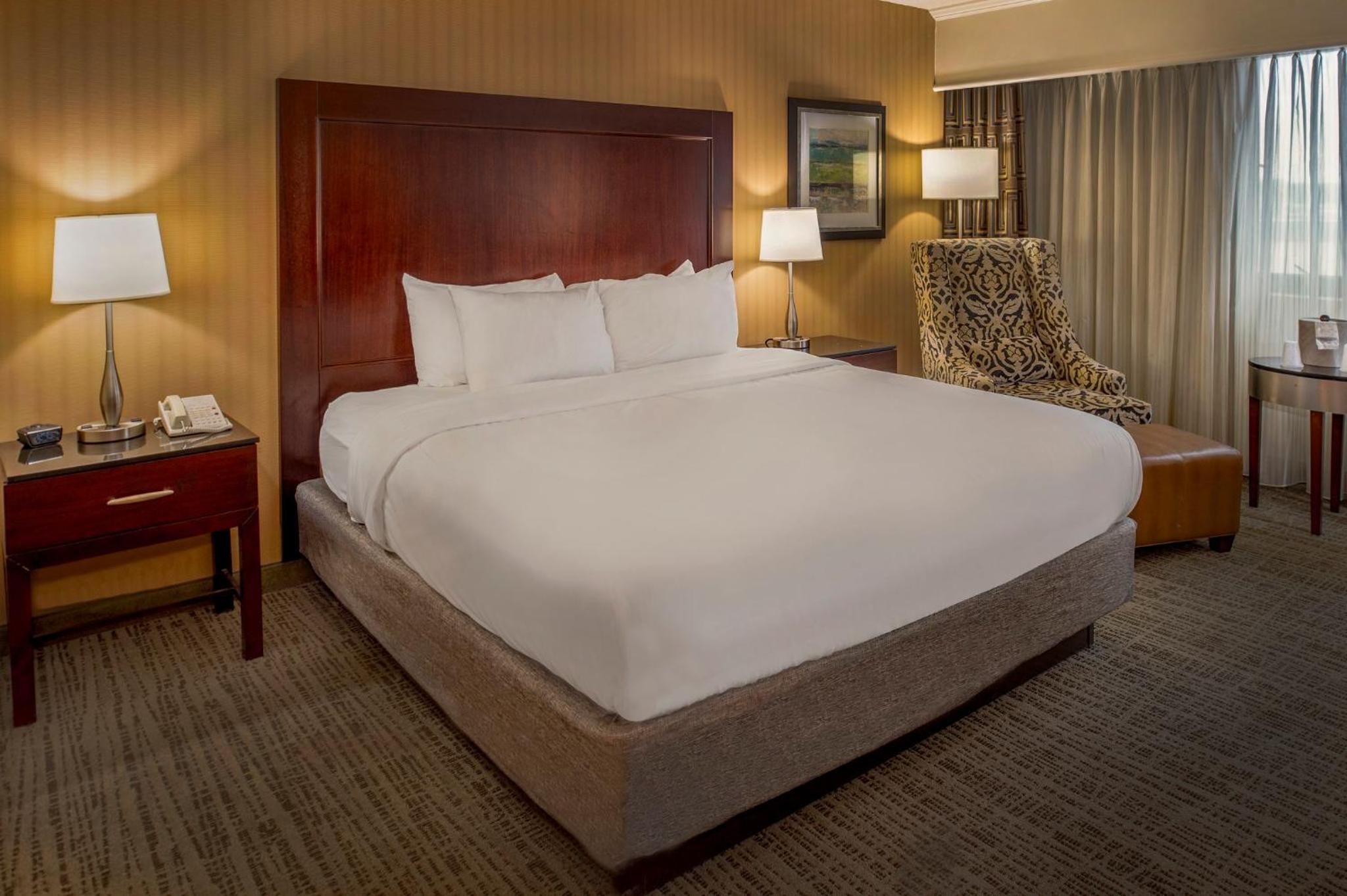 Standard King Room - High Floor - Photo 6