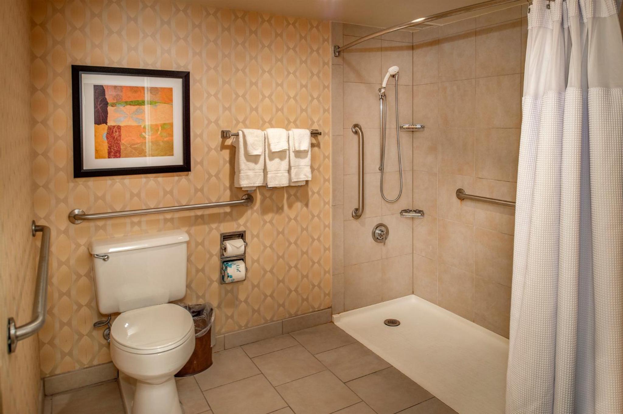 King Room with Roll In Shower - Non-Smoking - Photo 2