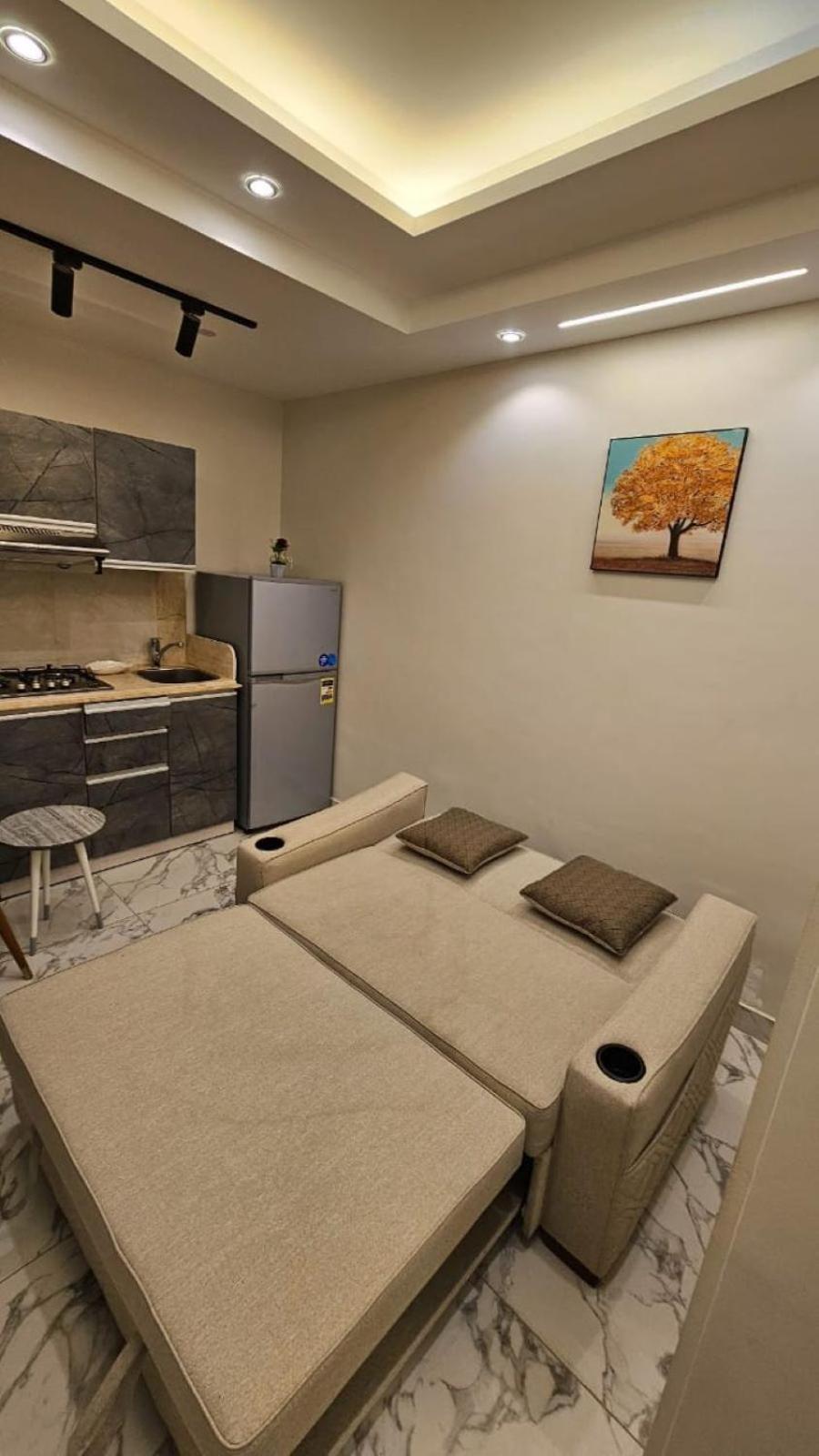 Deluxe King Suite photo 2
