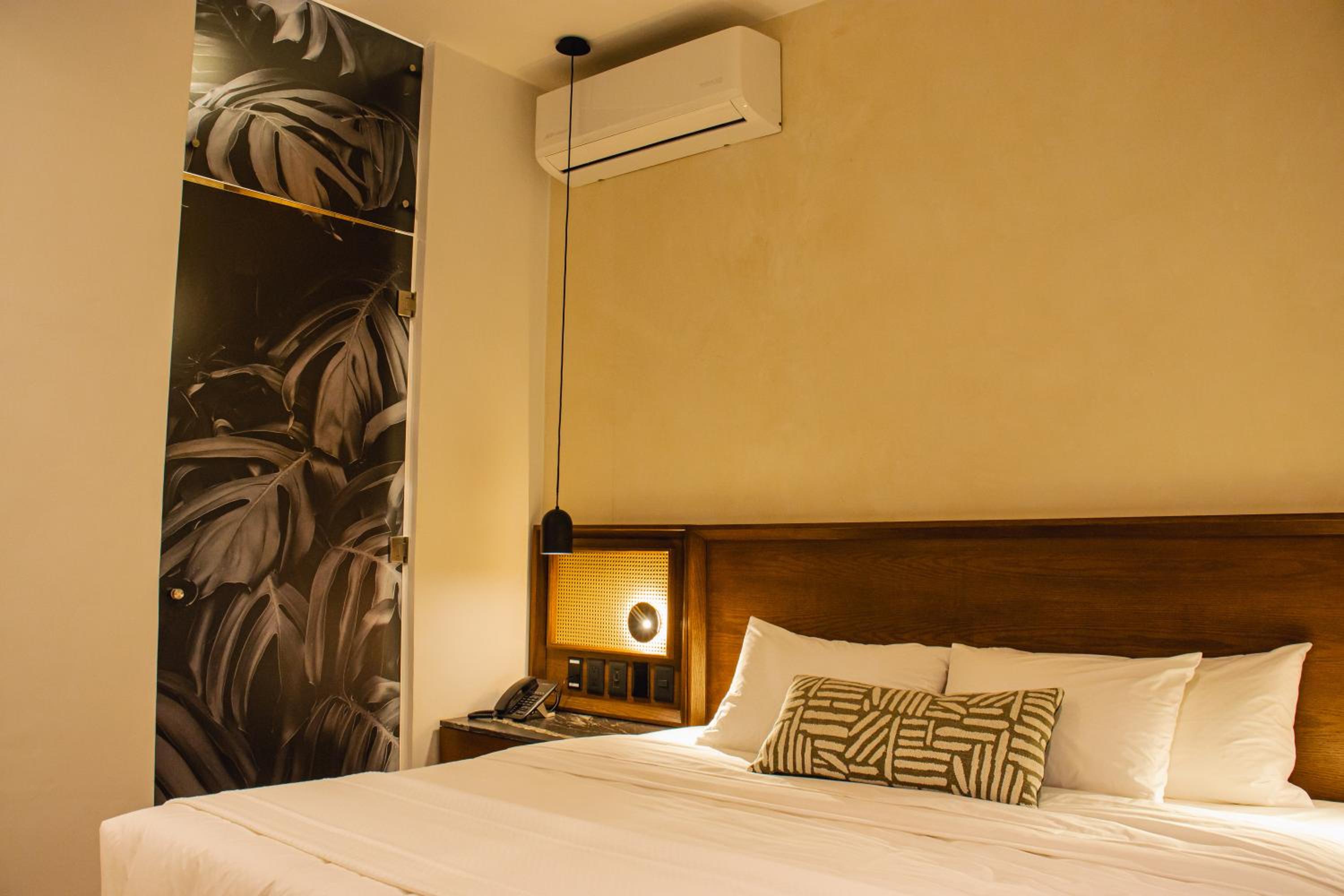 Standard Suite - Photo 5