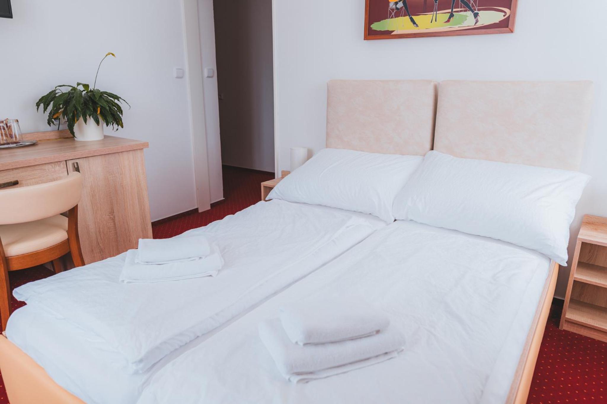 Double or Twin Room with Private Bathroom photo 1