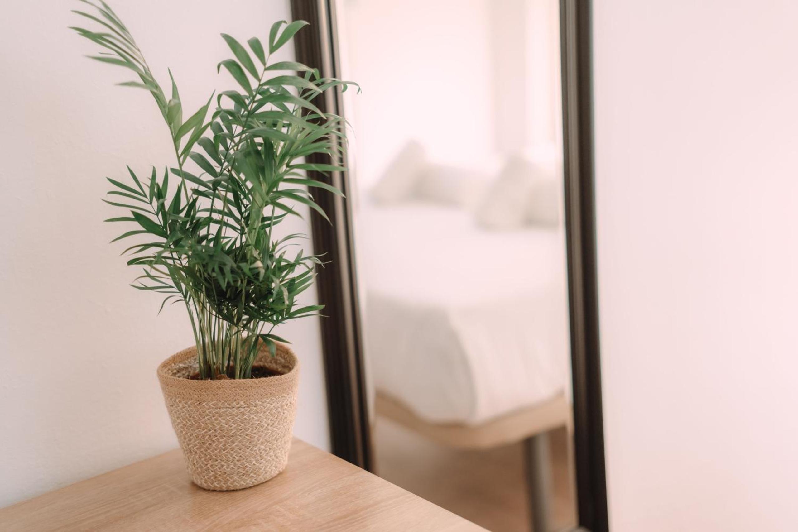 Habitación Triple con Baño Privado Externo