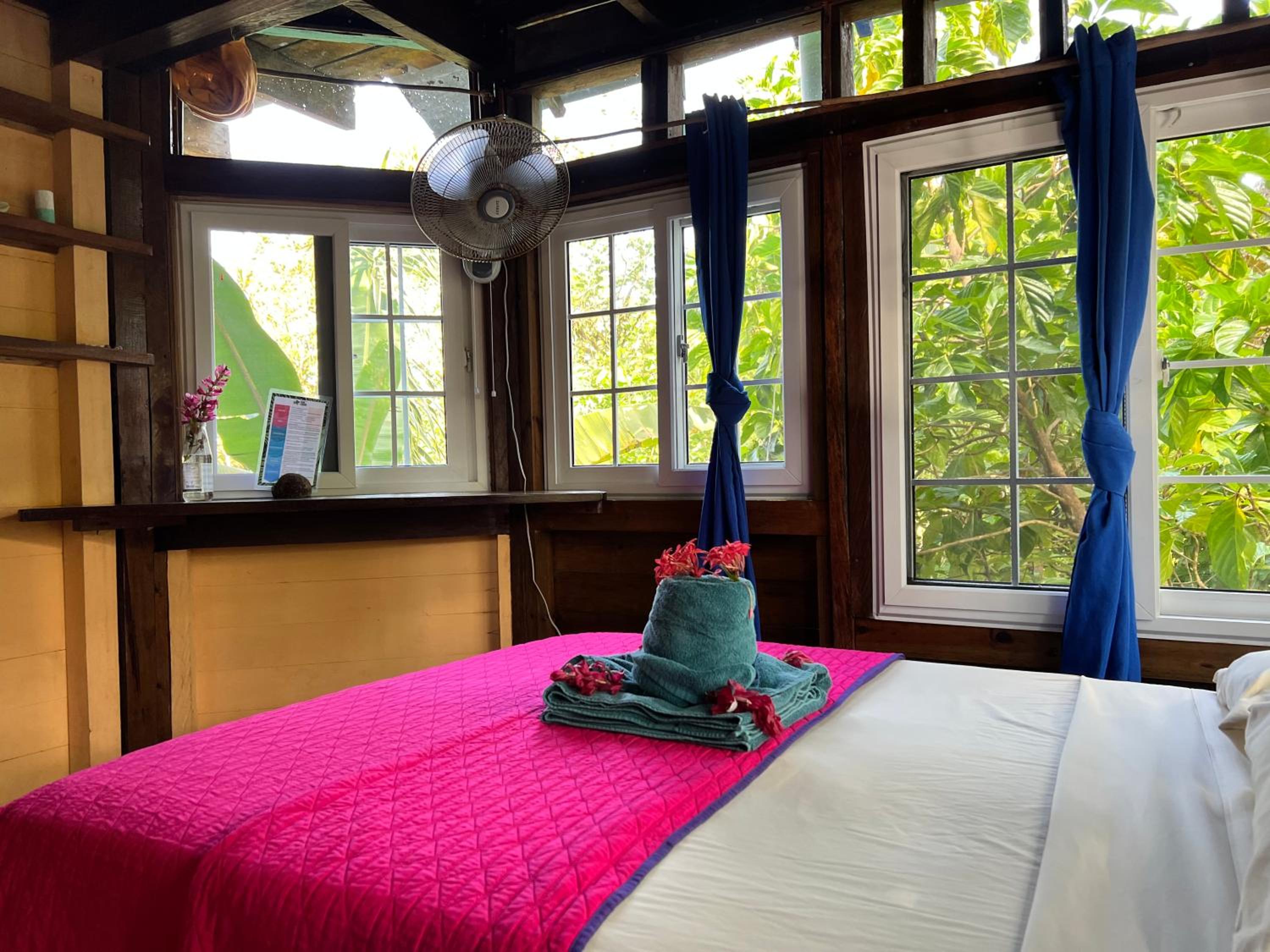 Cozy Double Room photo 2