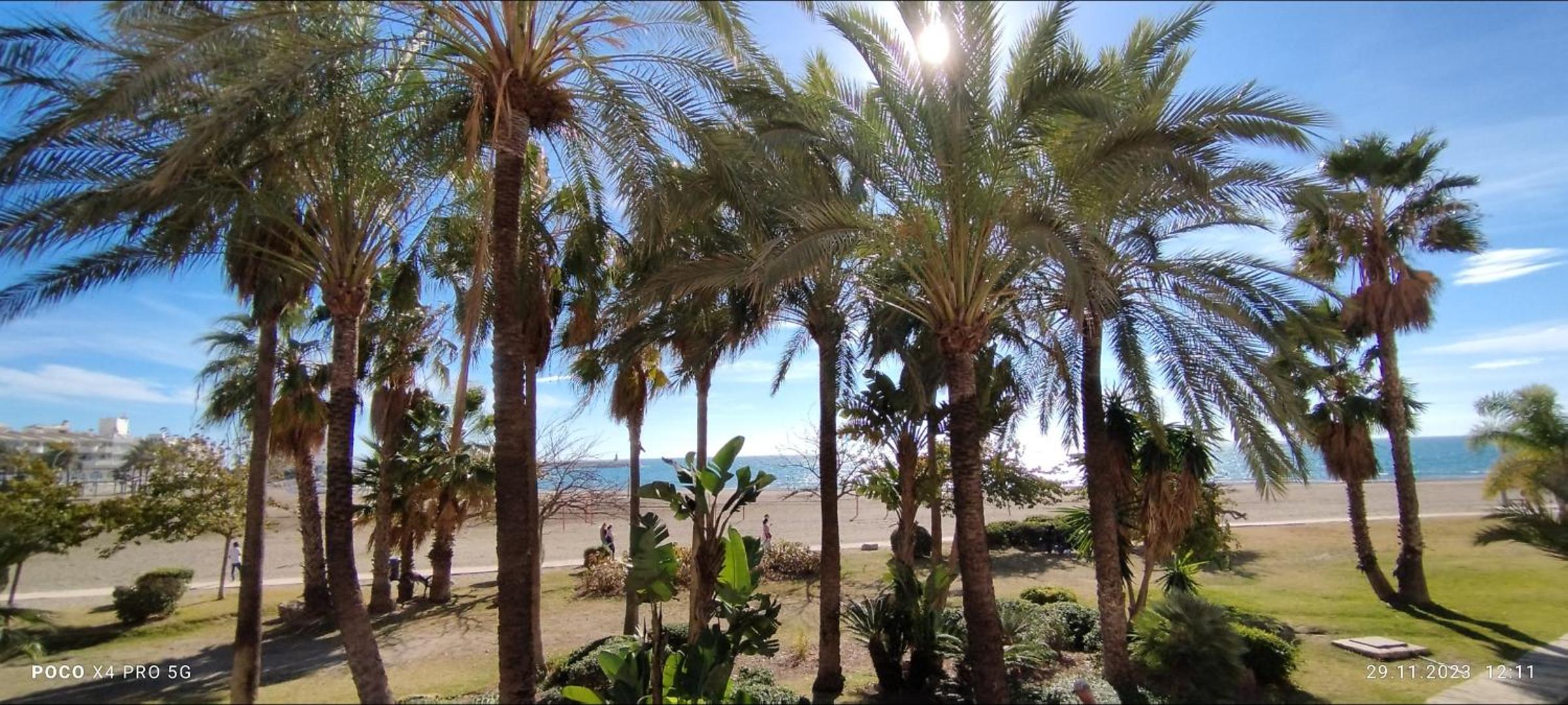 Studio With Sea View photo 3