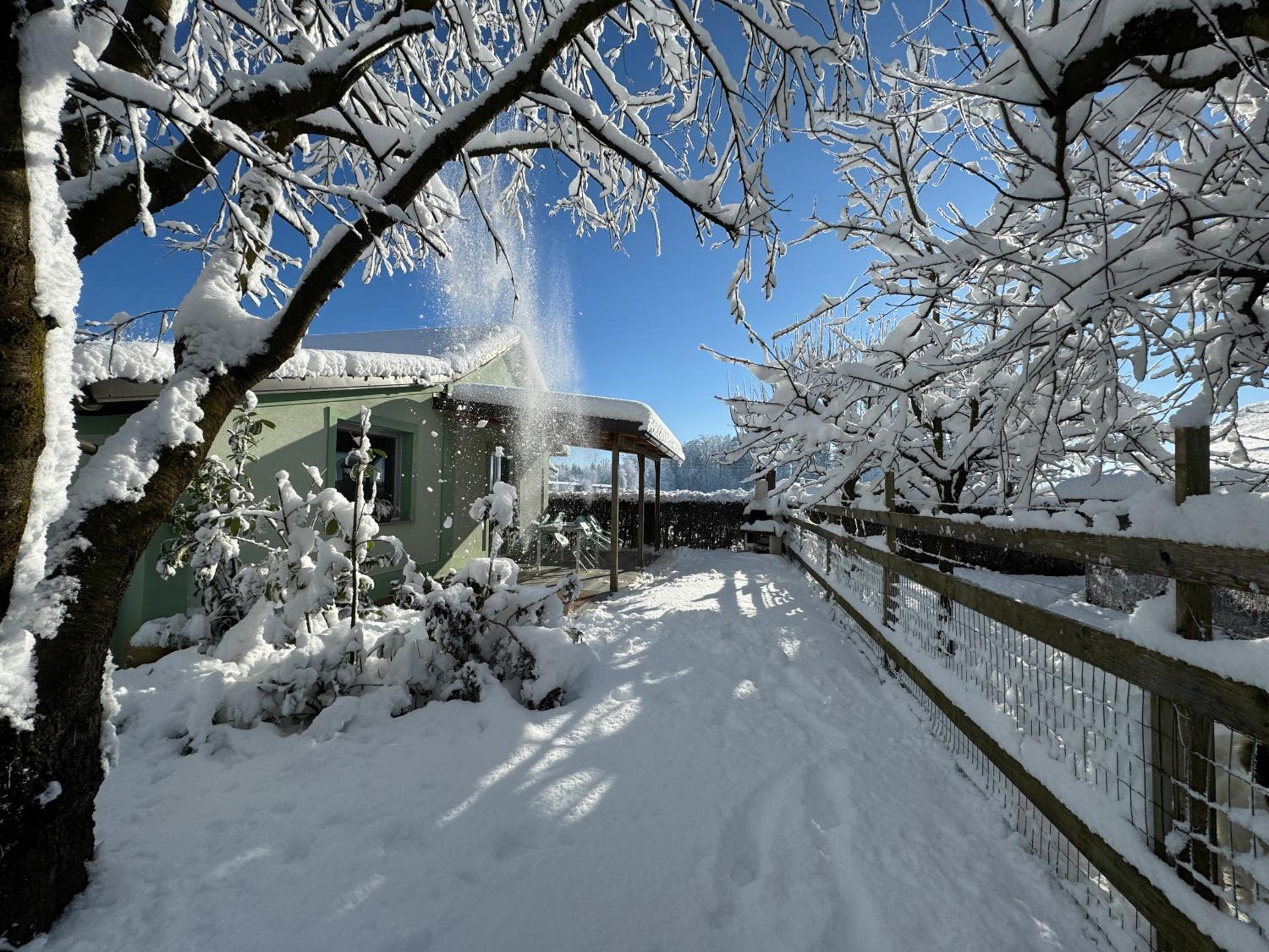 Studio with Terrace photo 3