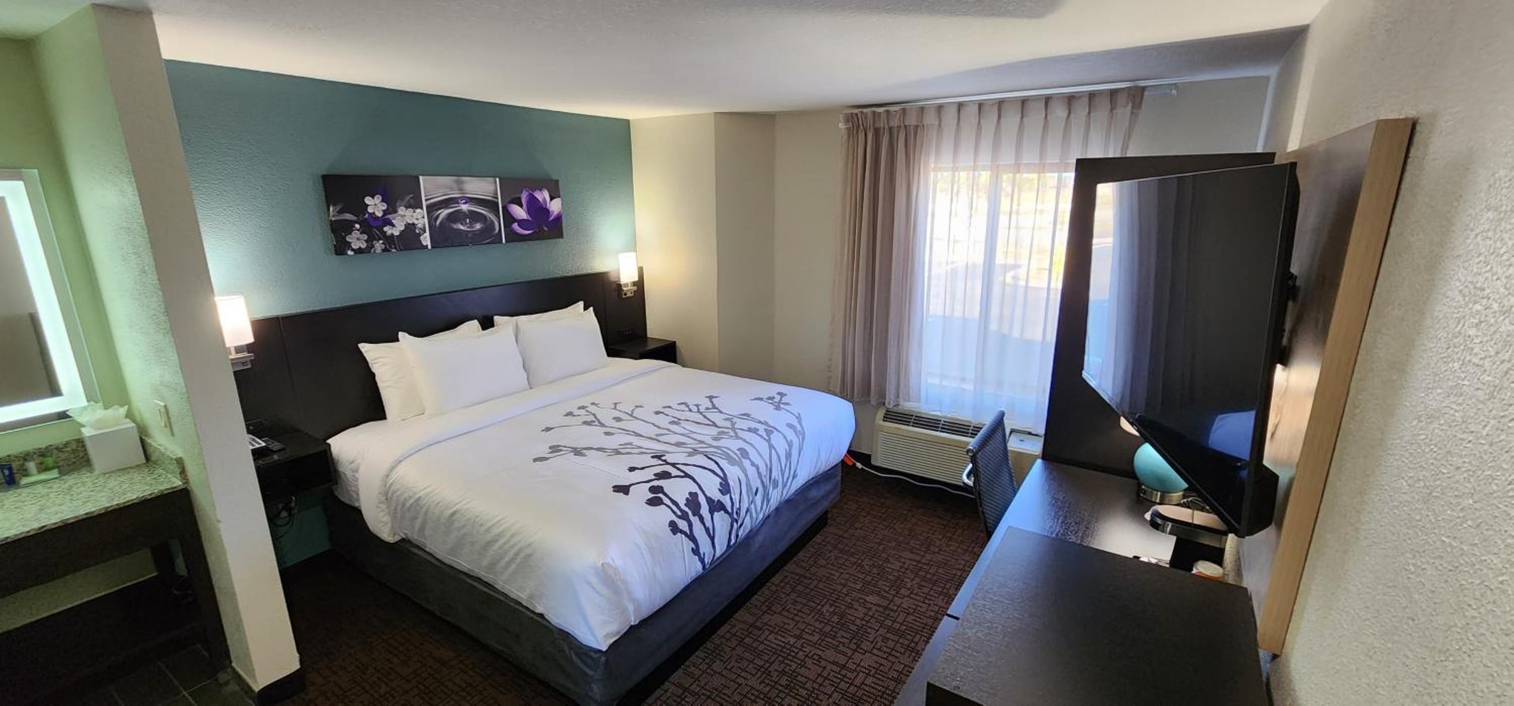 Single Room with Roll-In Shower - Disability Access/Non Smoking