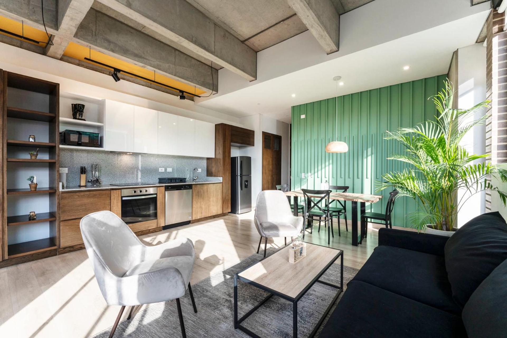One-bedroom Loft Apartment 