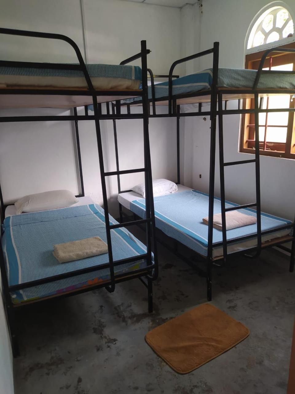 Bed in 8-Bed Mixed Dormitory Room