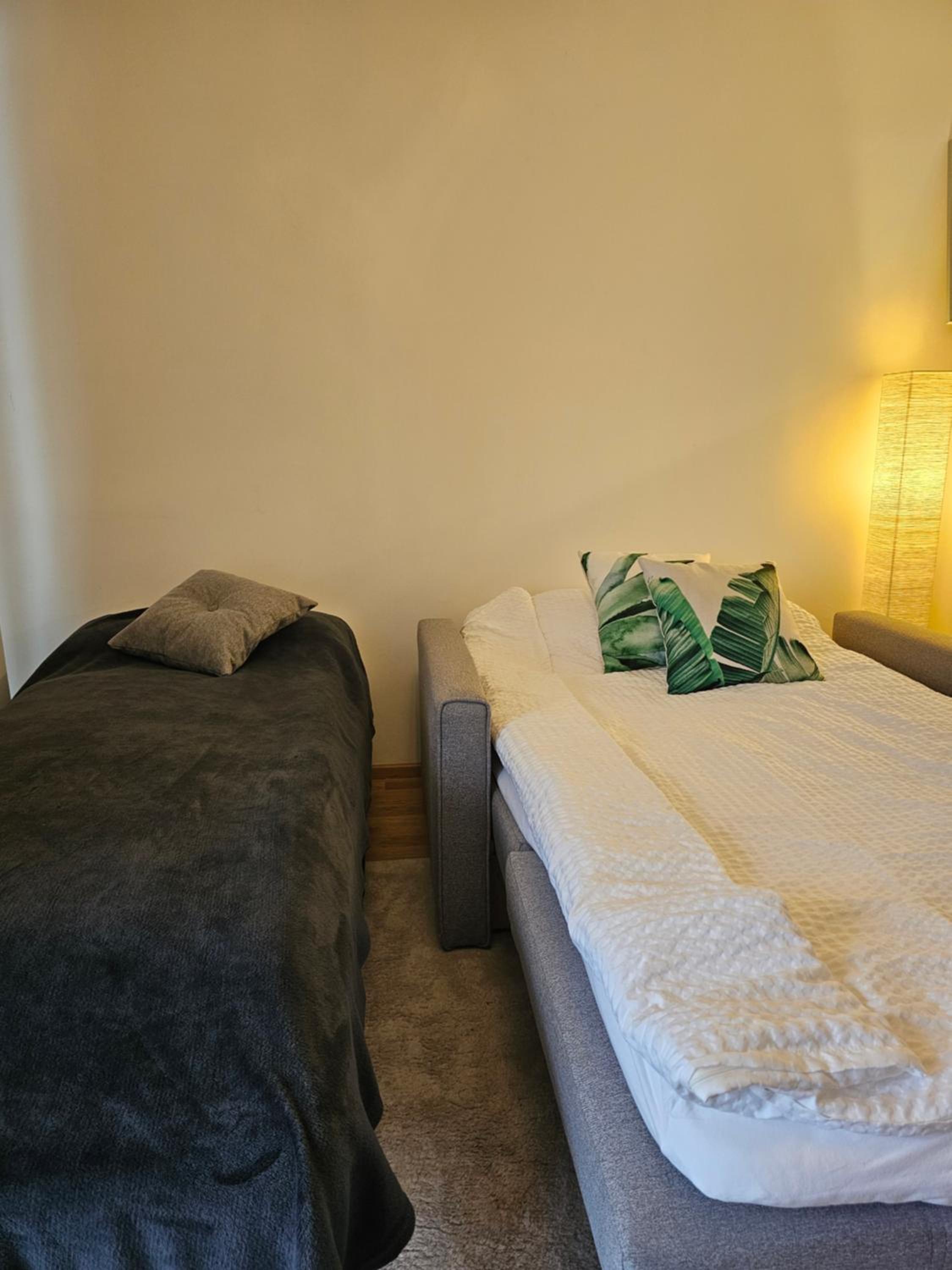 Superior Apartment photo 3