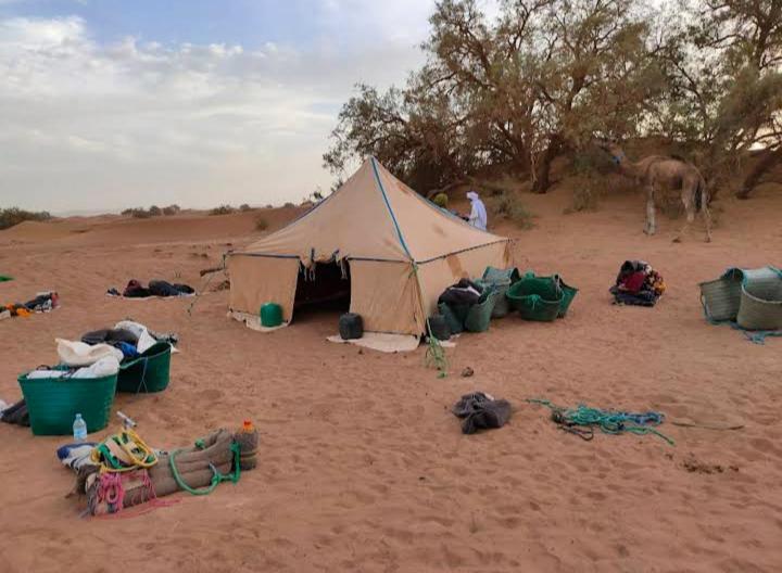 Tent photo 2