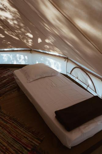 Tent photo 1