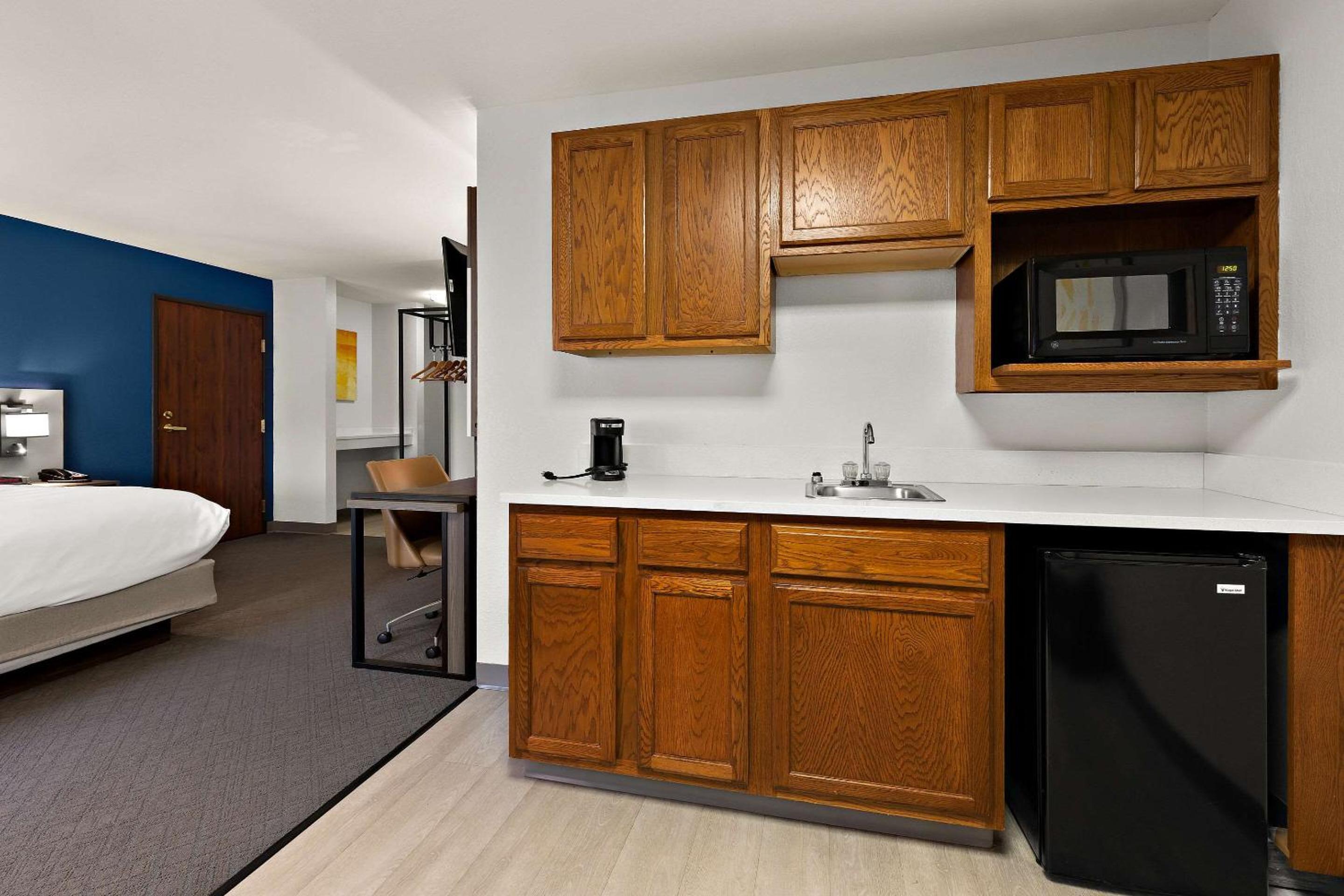 Efficiency King Suite- Non -Smoking - Photo 4
