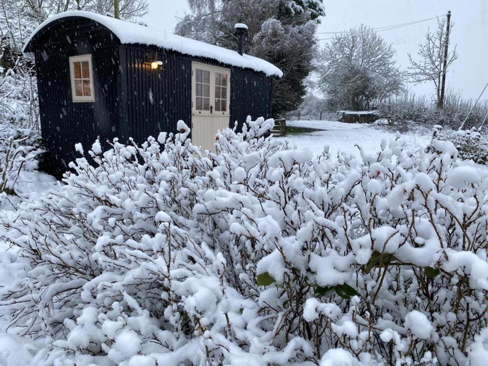 Chalet photo 2
