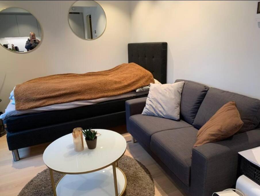 Studio Apartment photo 2