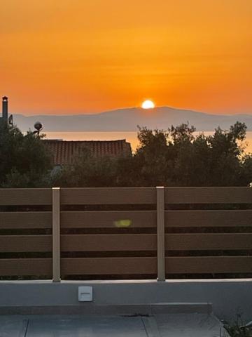 Standard Villa photo 3