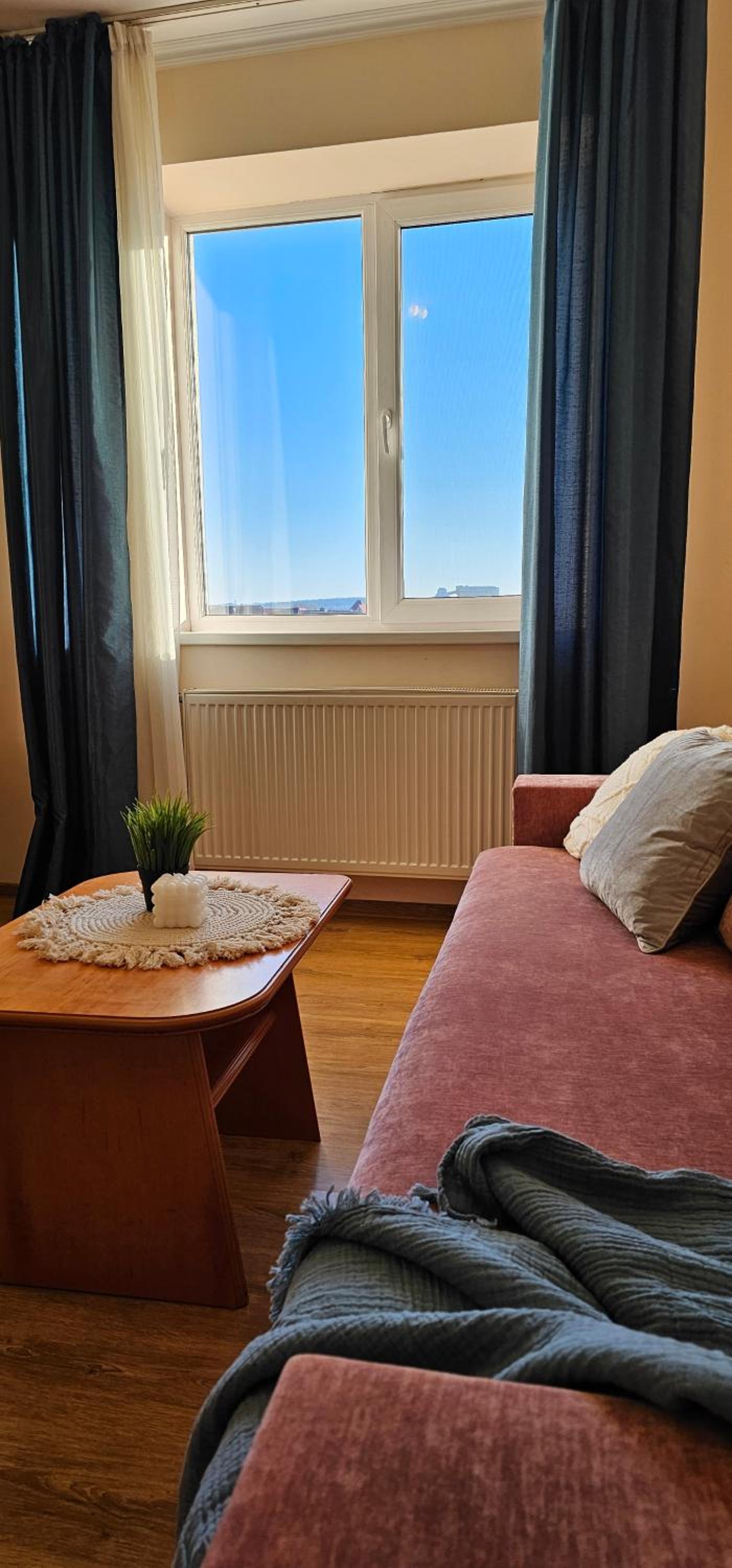 One-Bedroom Apartment photo 3