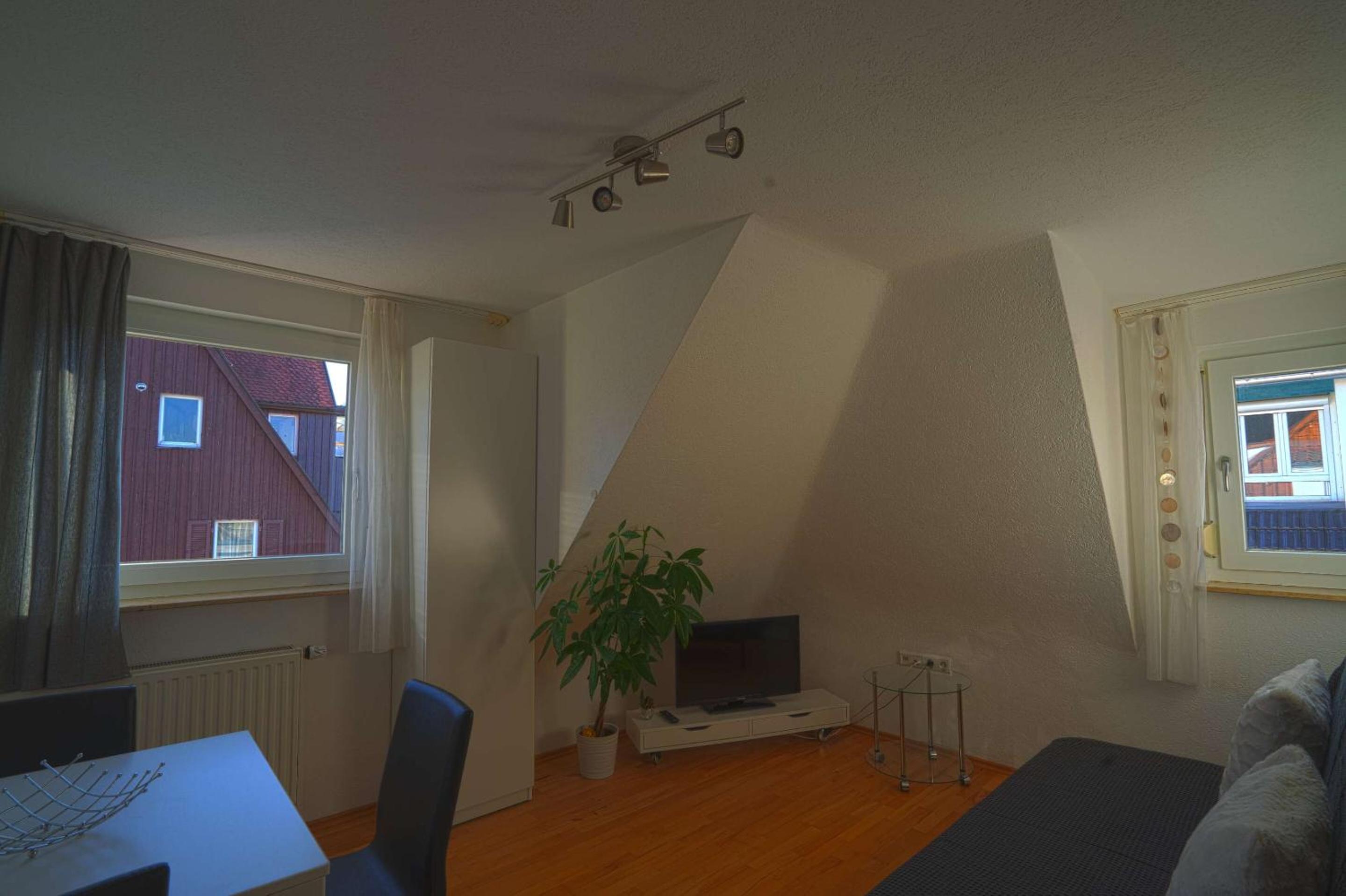 One-Bedroom Standard Apartment photo 3