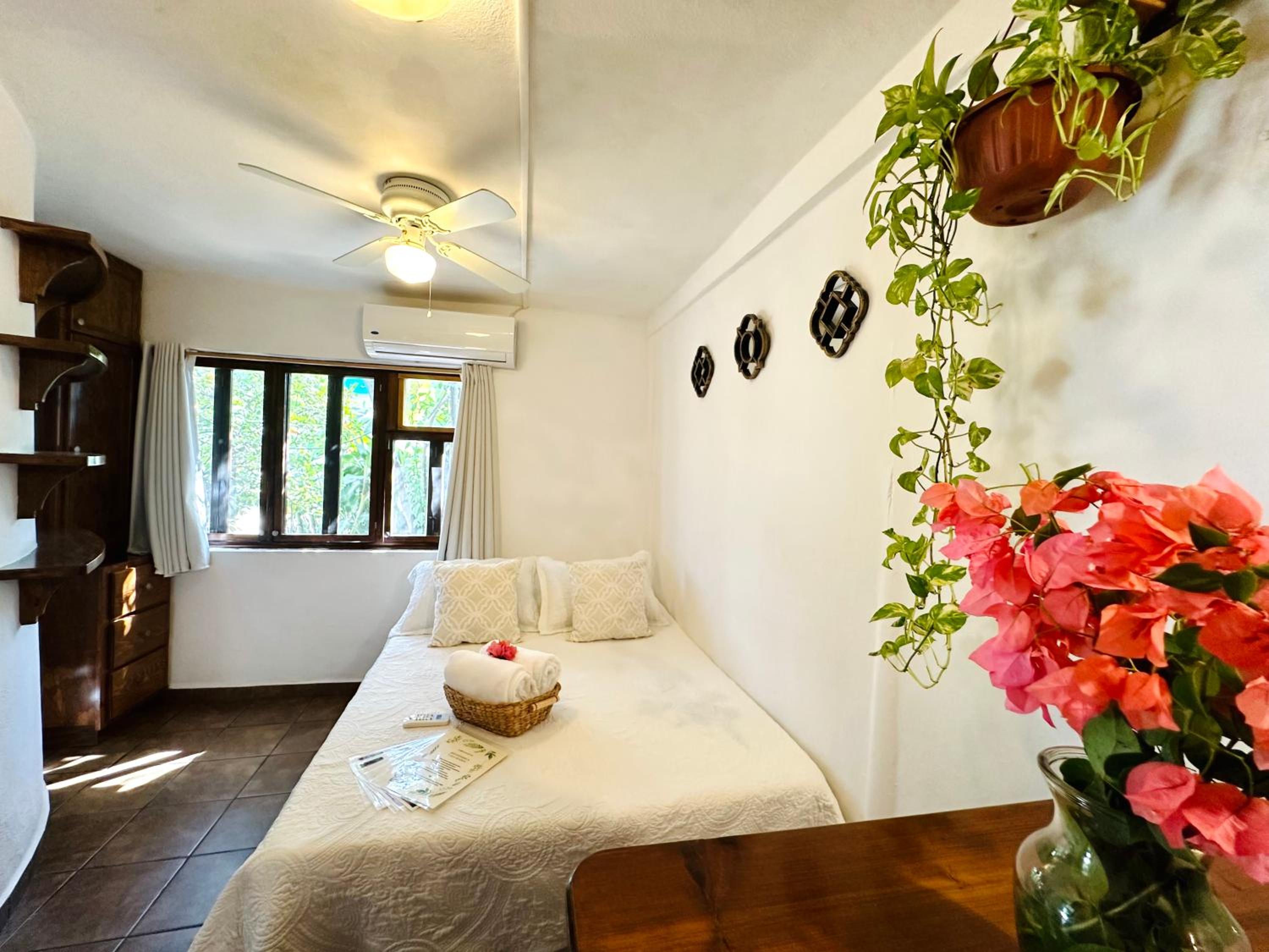 Studio with Garden View - Photo 12