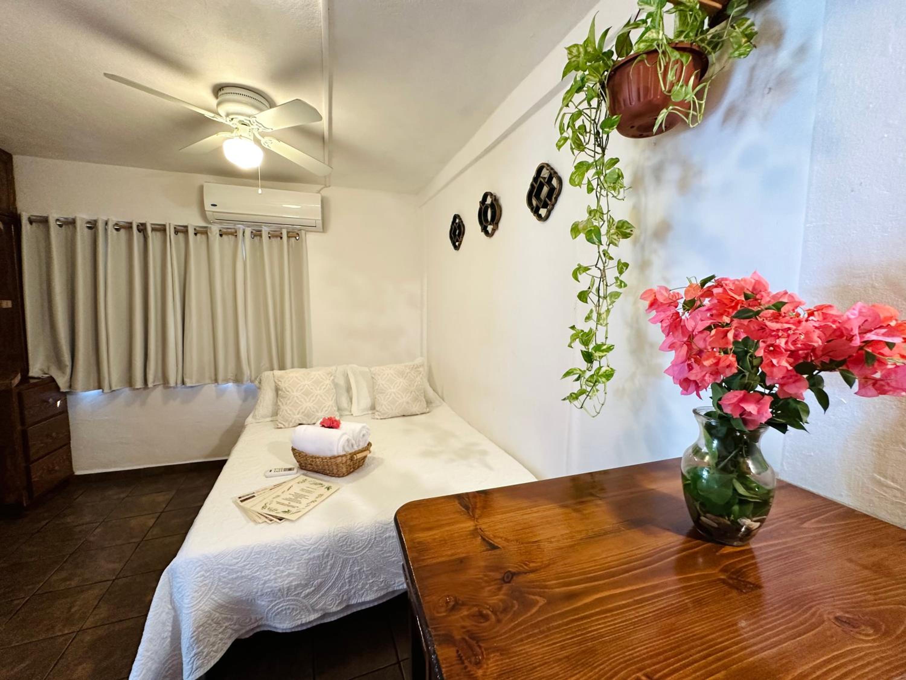 Studio with Garden View - Photo 18