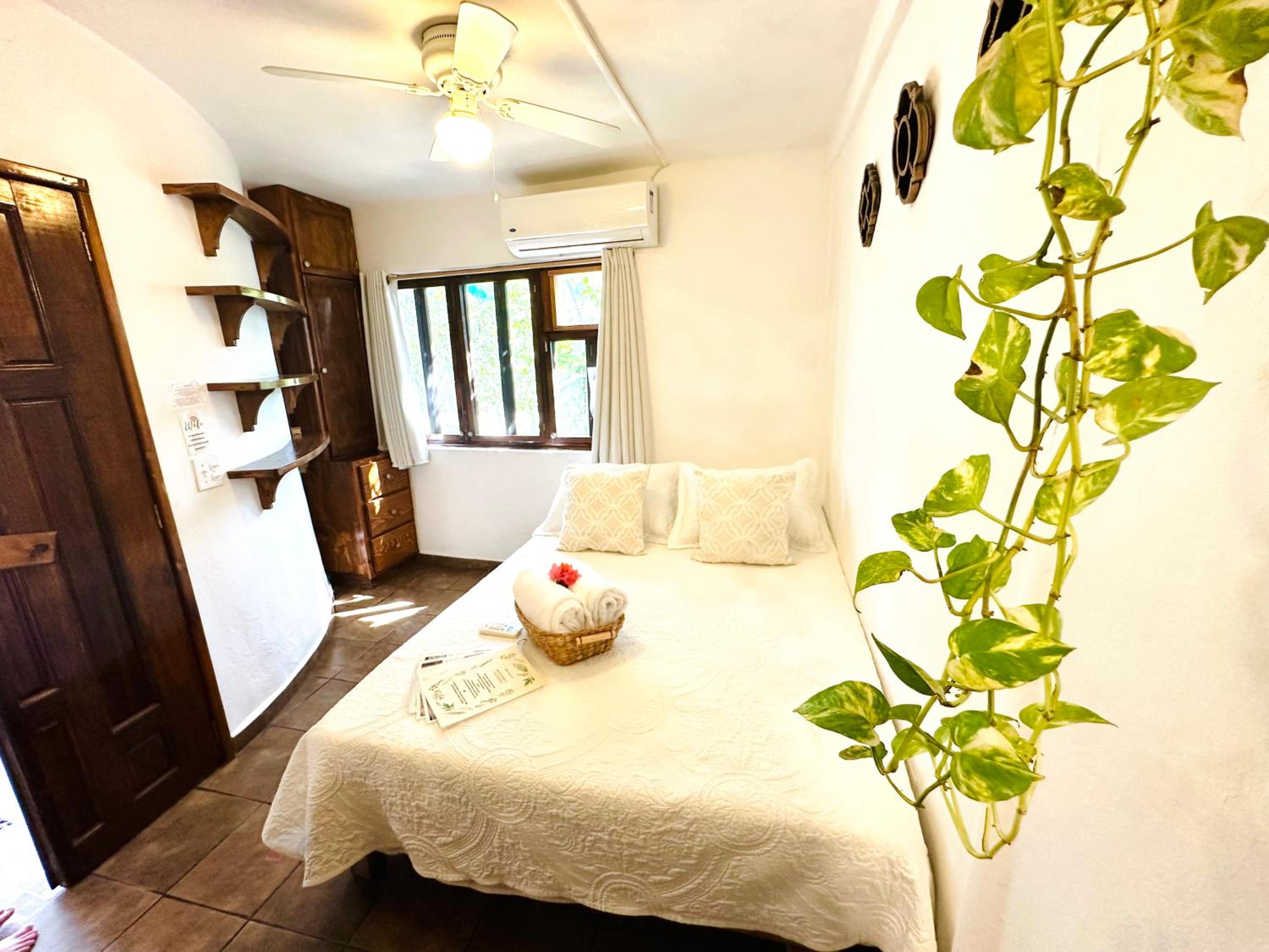 Studio with Garden View - Photo 1