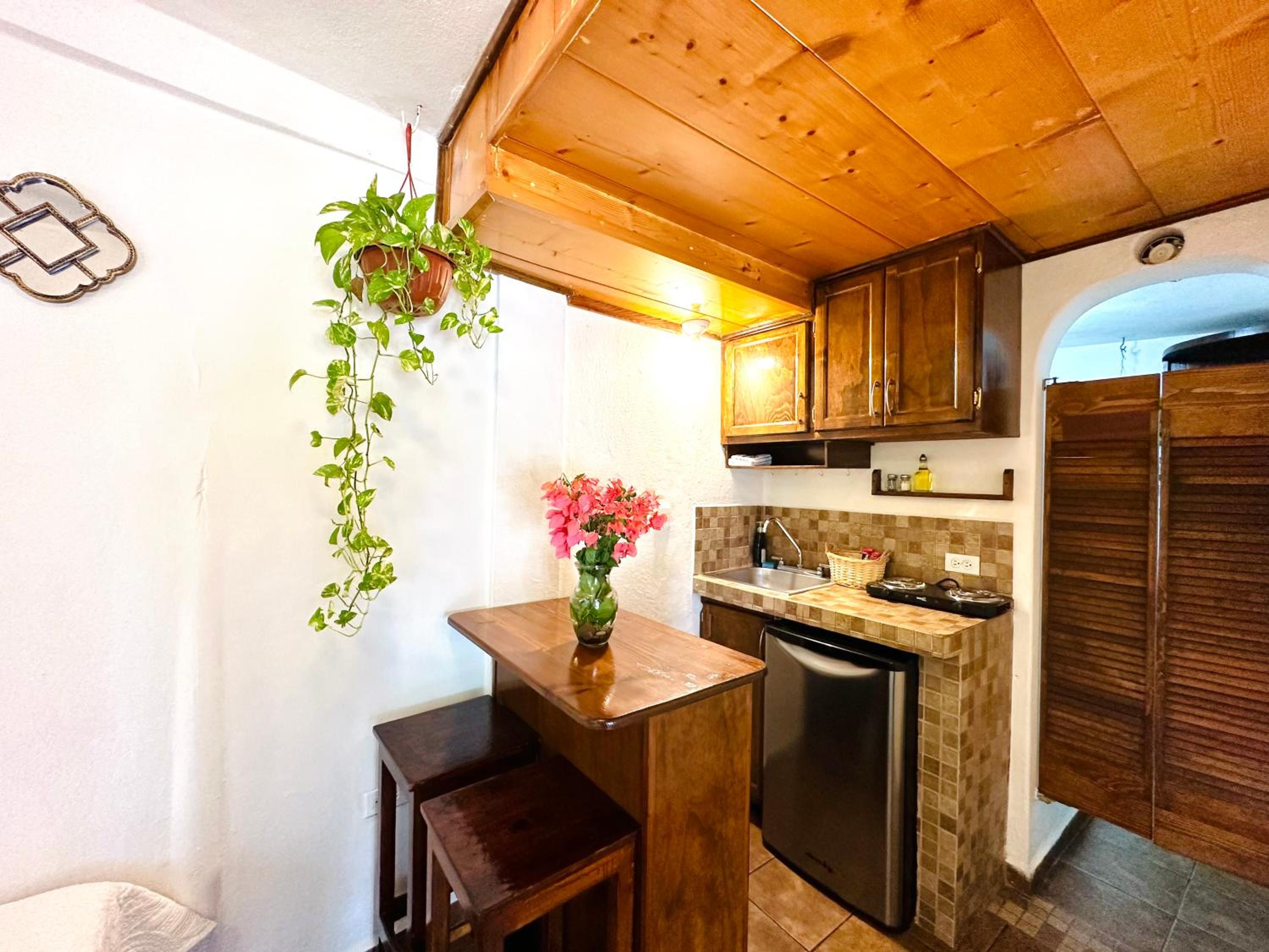 Studio with Garden View - Photo 17