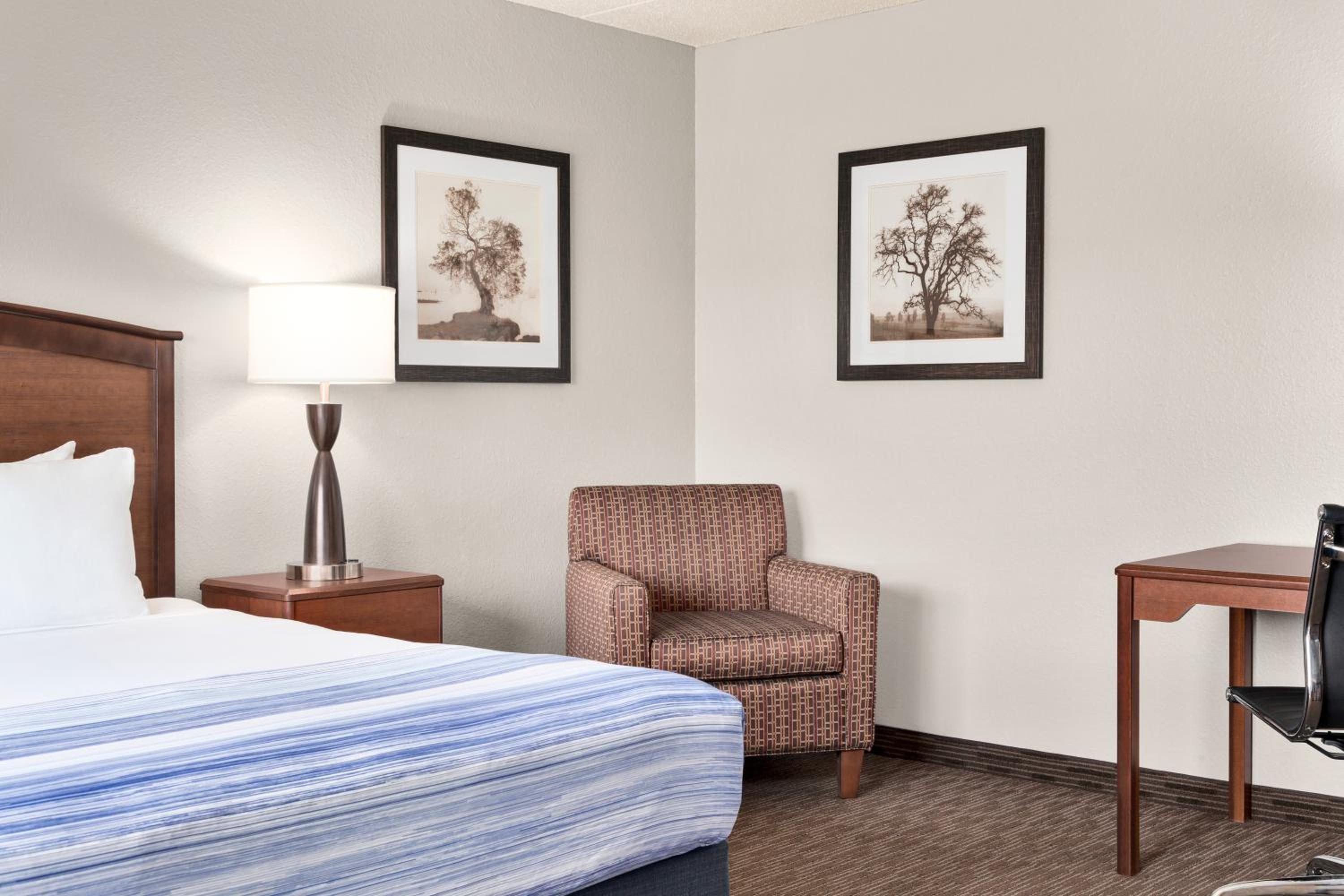 King Room - Non-Smoking - Photo 3