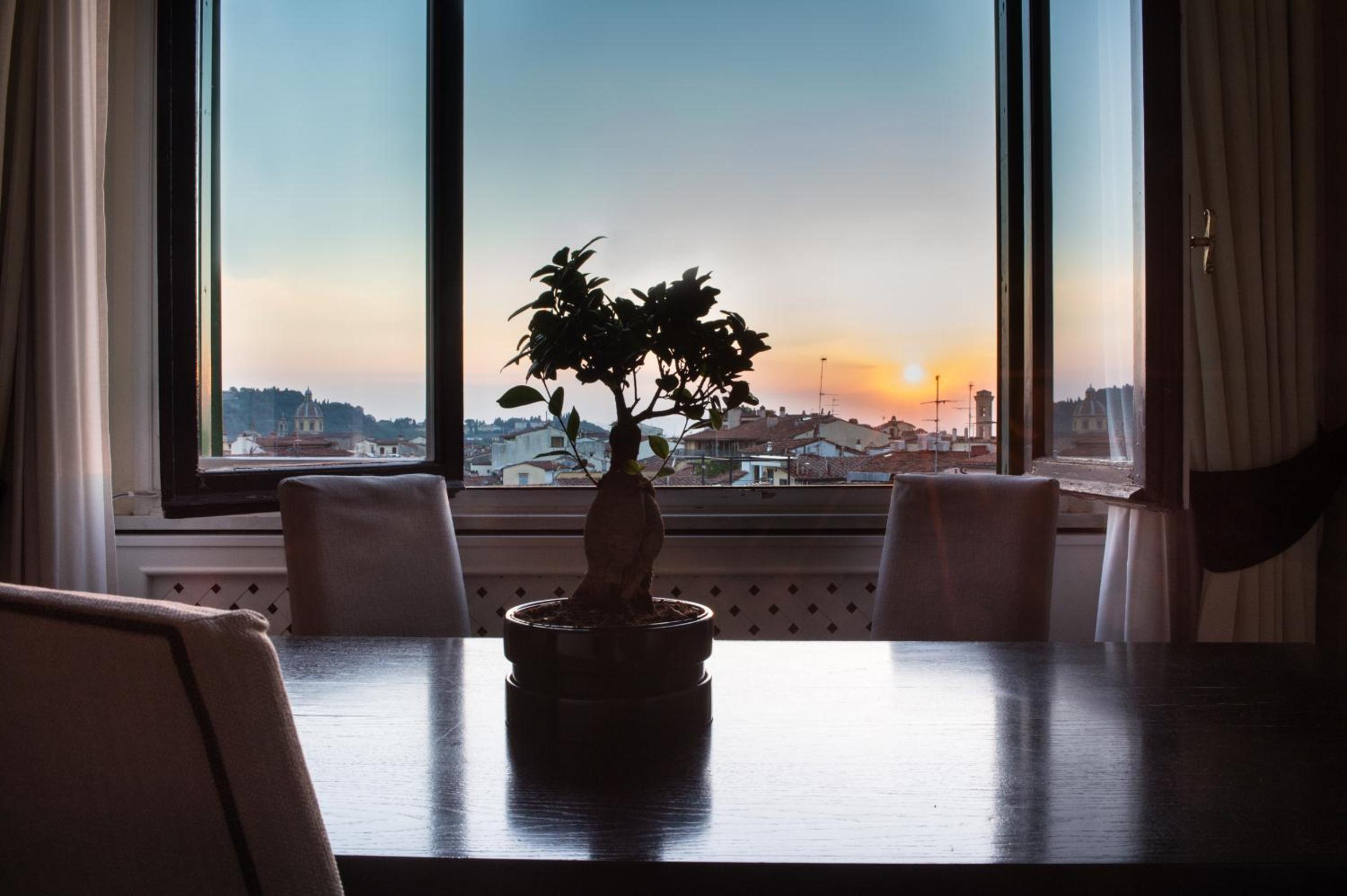 Suite with City View photo 2