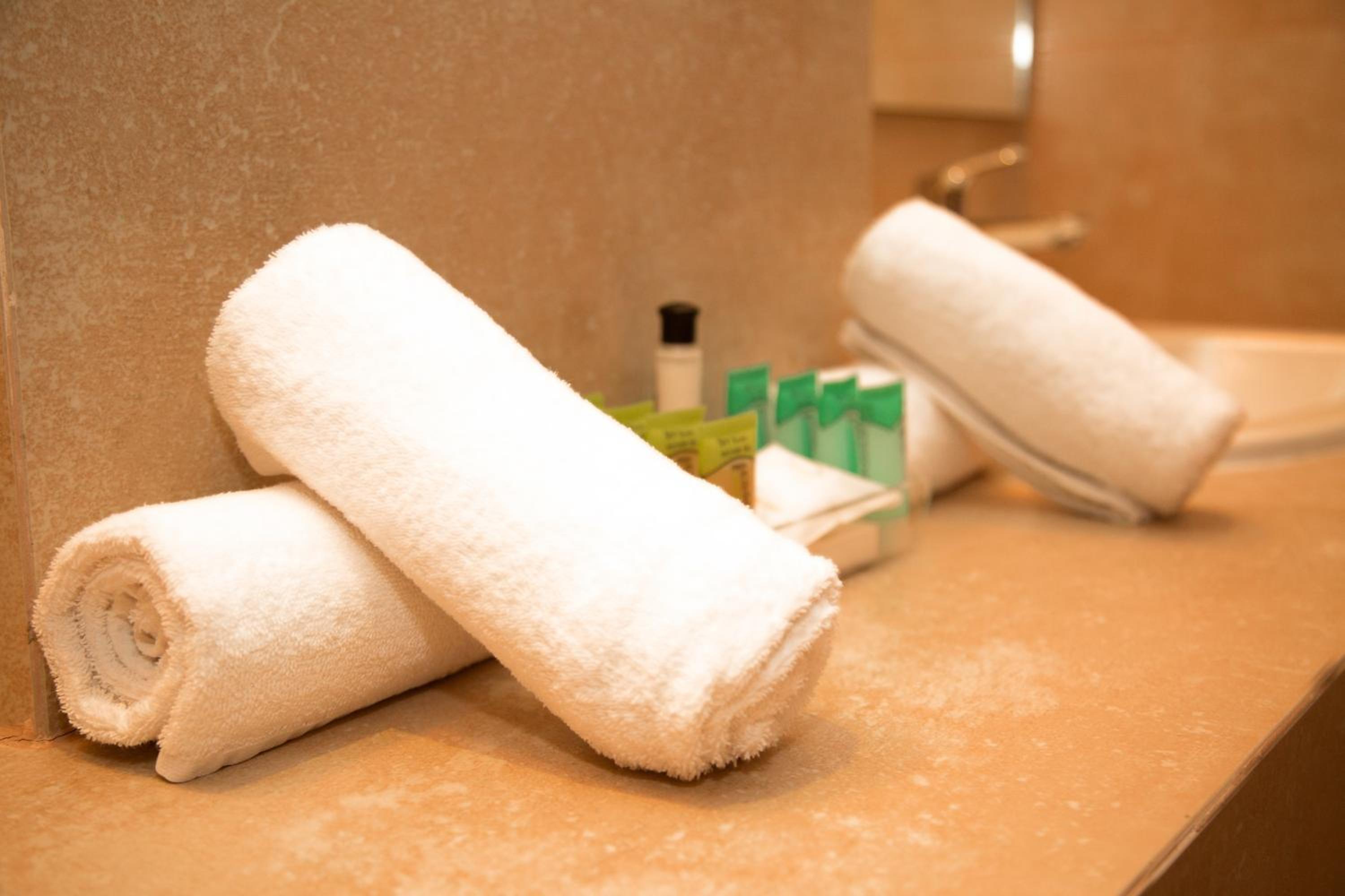  Double or Twin Room with Mountain View - Photo 8