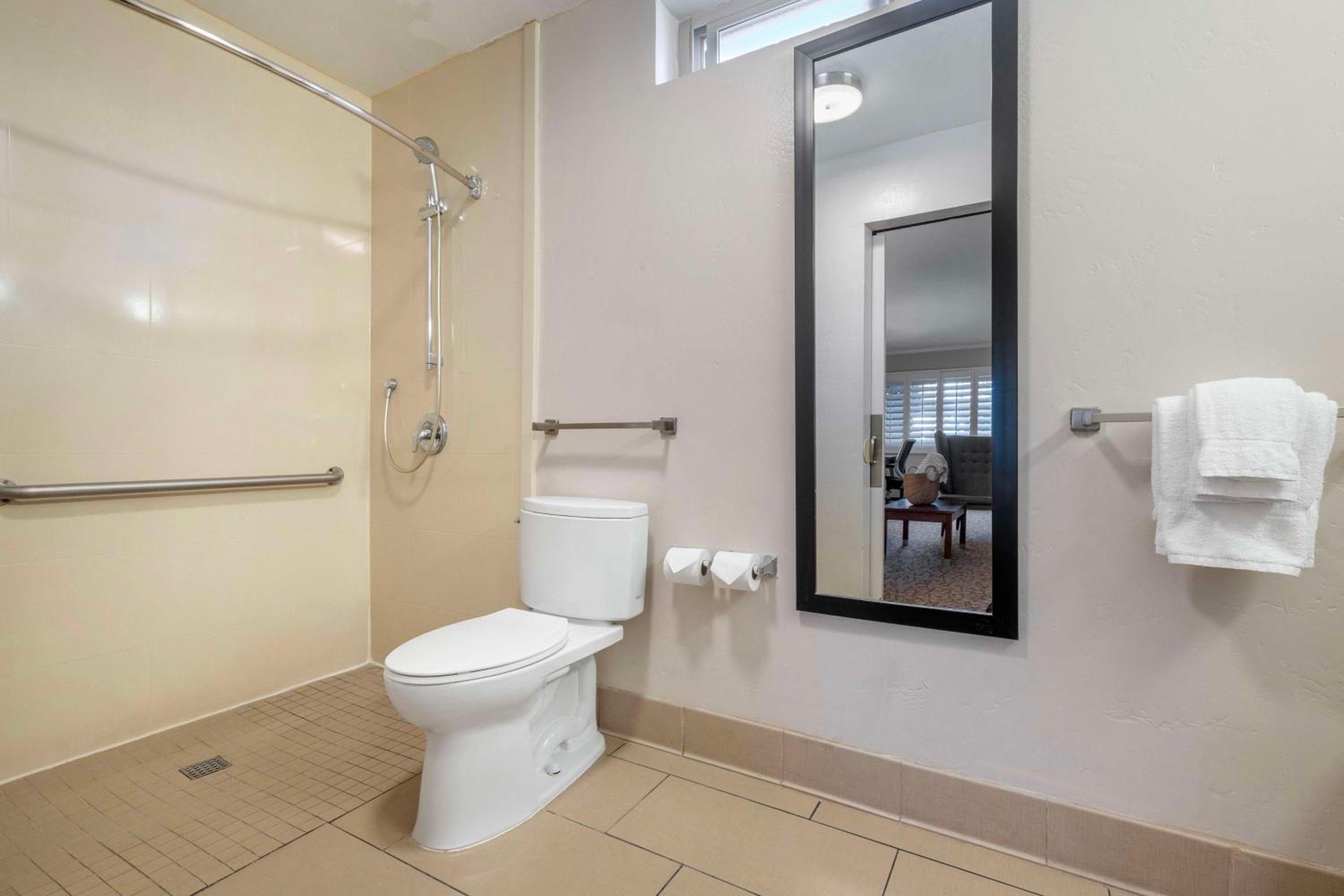 King Suite with Walk-In Shower and Sofa Bed - Disability Access/Non-Smoking - Photo 3