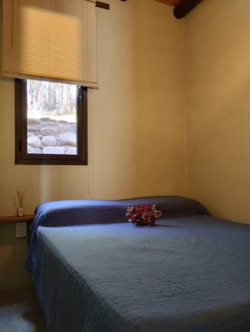 Three-Bedroom Chalet photo 3