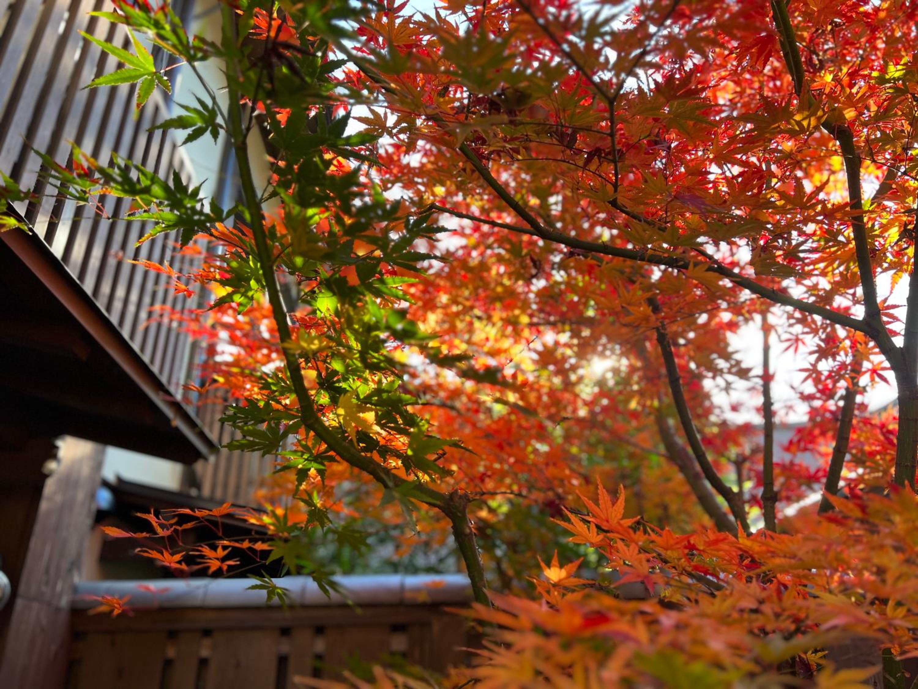 Japanese-Style Room - Photo 11