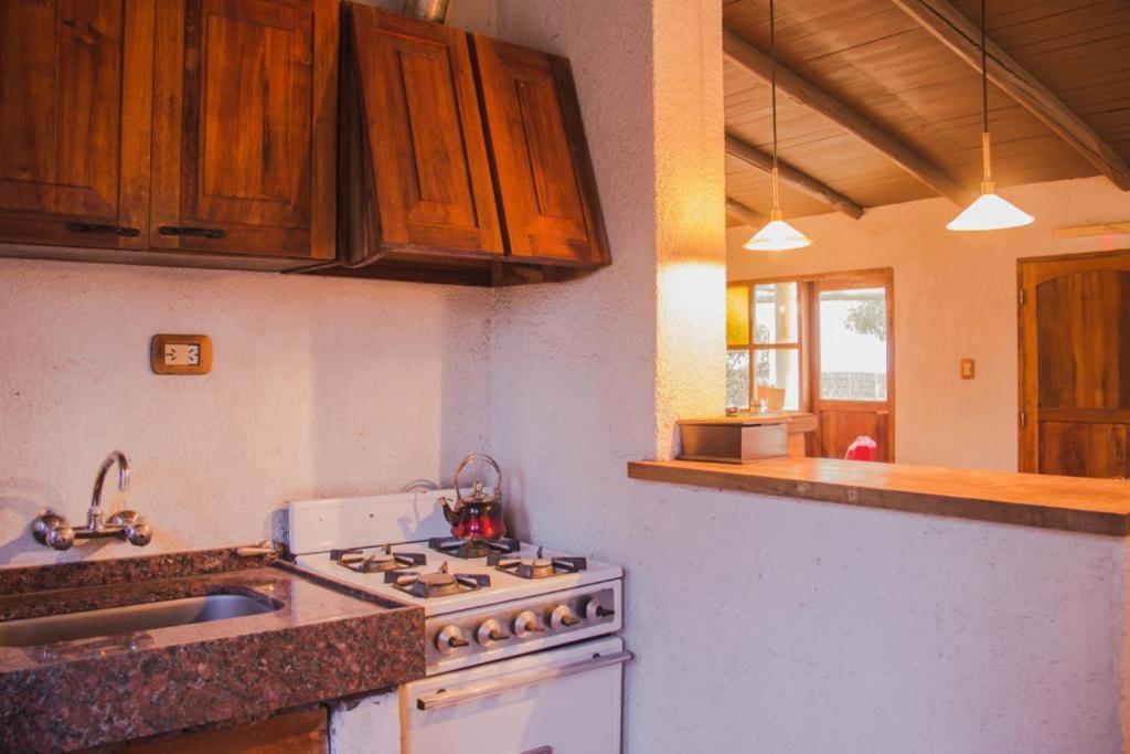 One-Bedroom House photo 3