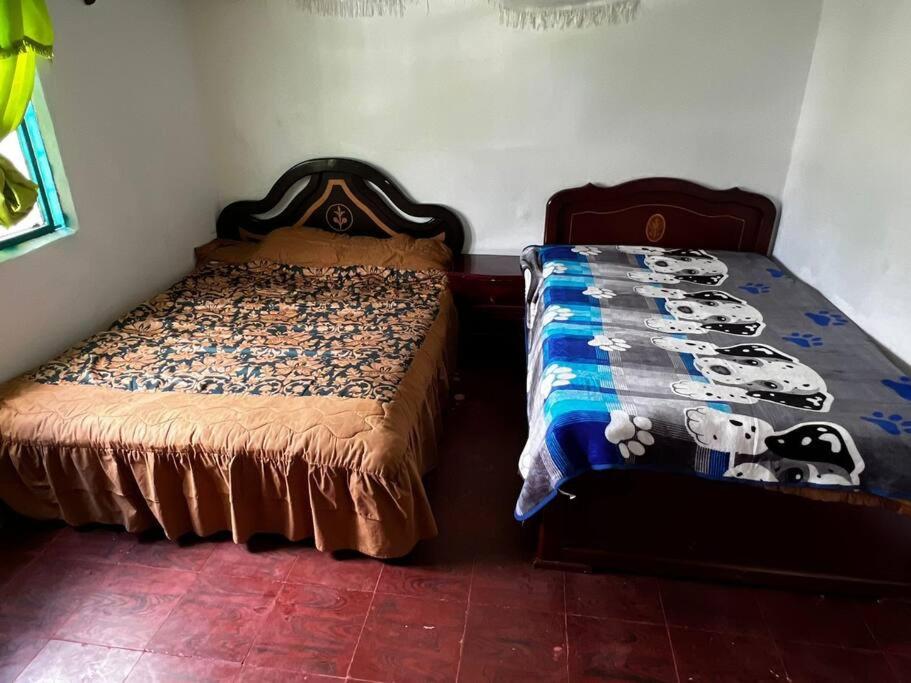One-Bedroom House photo 1