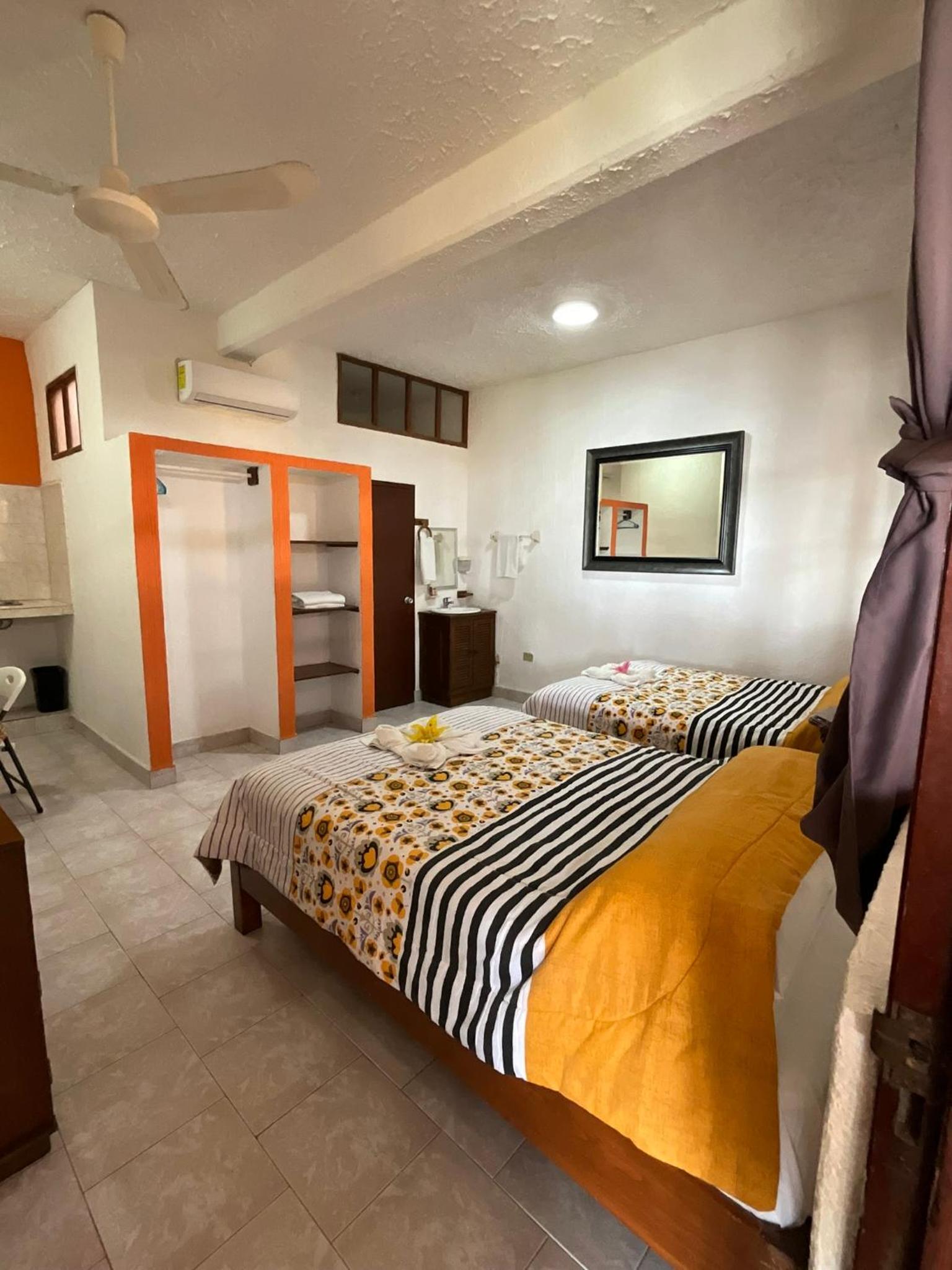 Twin Room photo 3