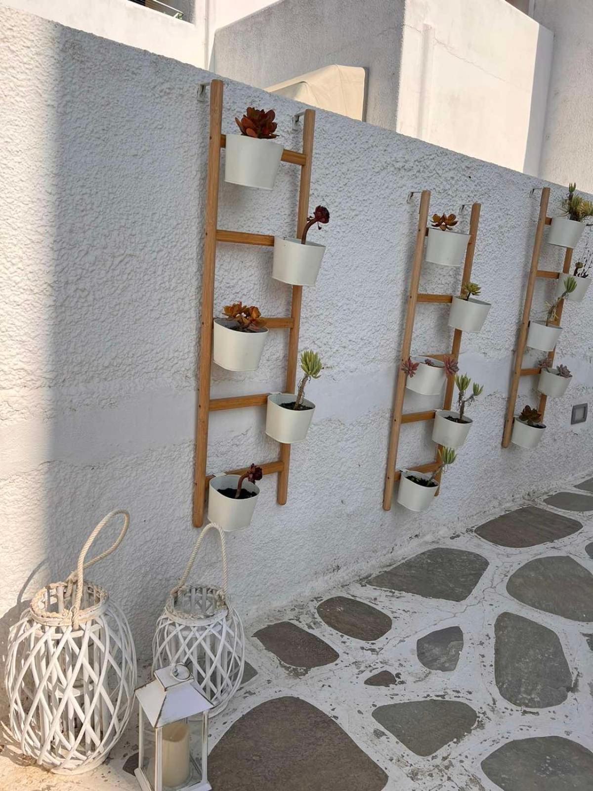 Apartment - Ground Floor photo 2