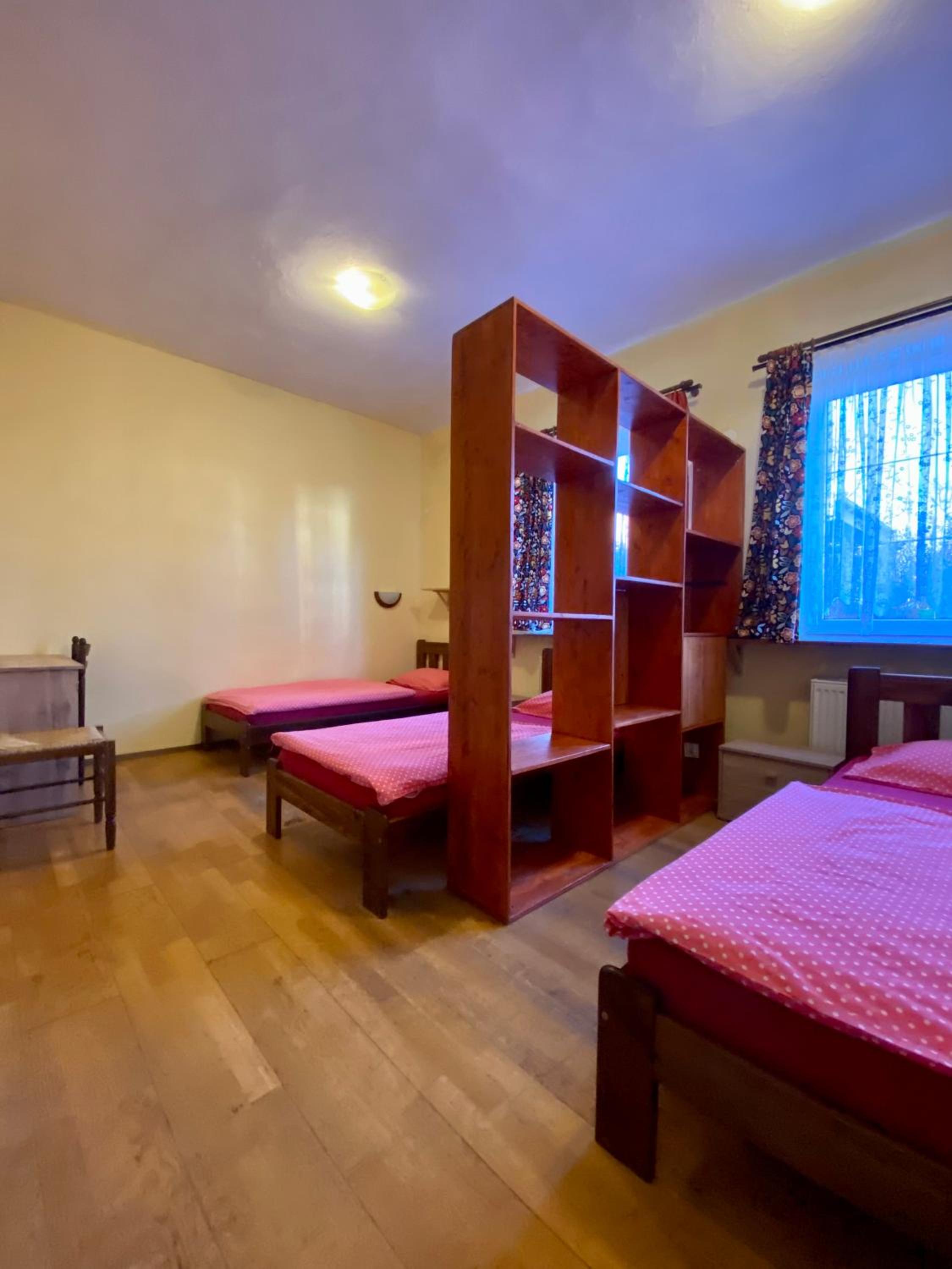 Apartment with Terrace photo 1
