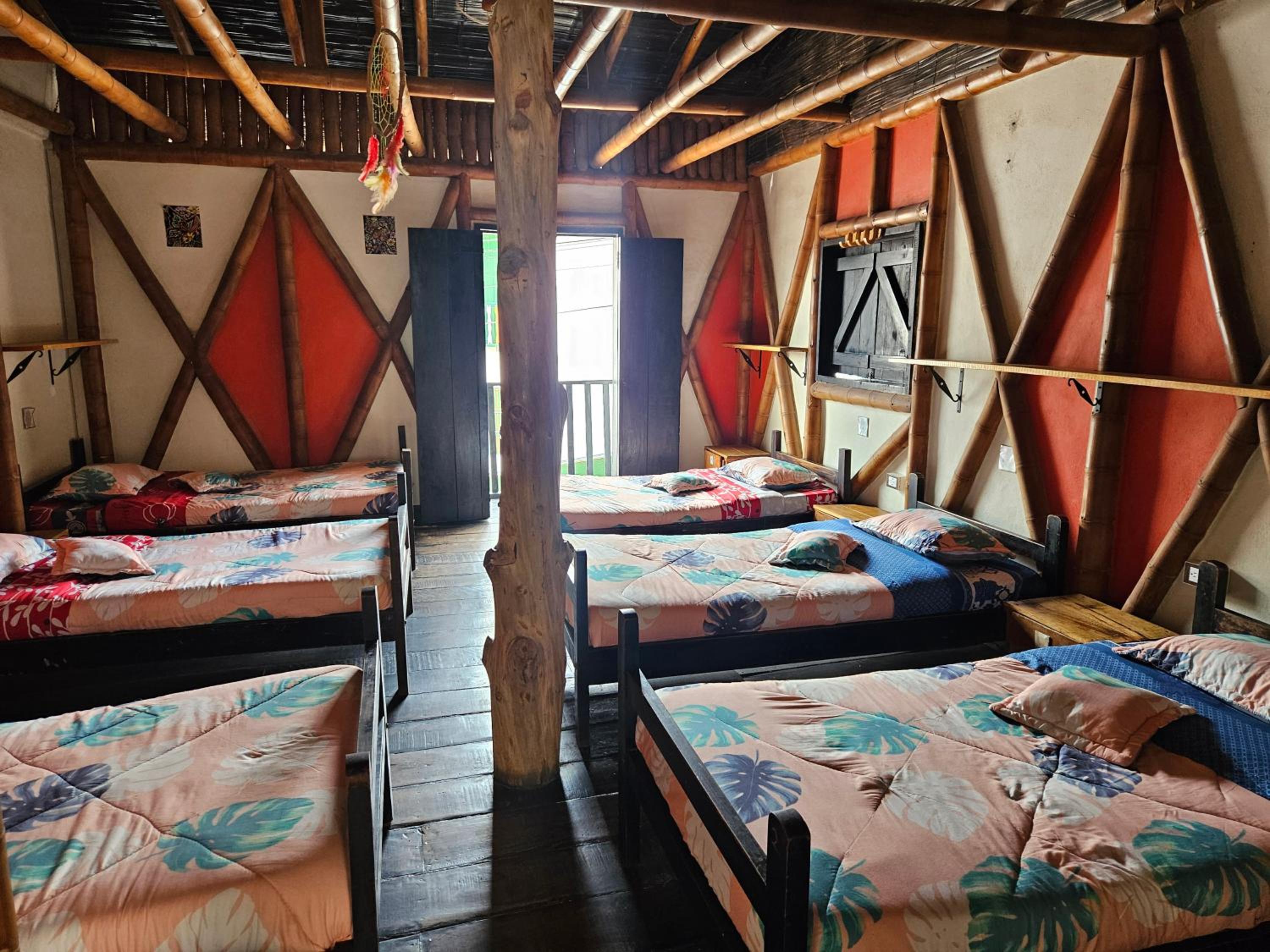 Single Bed in Mixed Dormitory Room photo 1