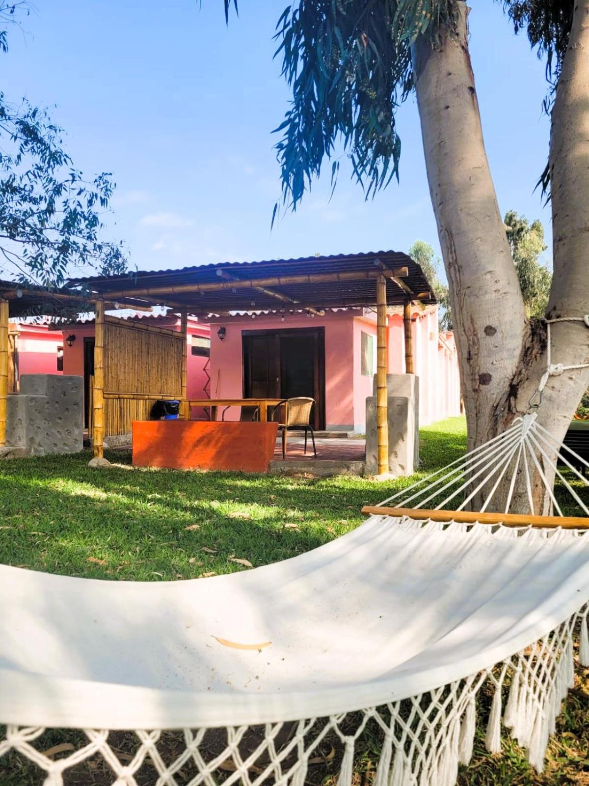 Bungalow with Garden View photo 1