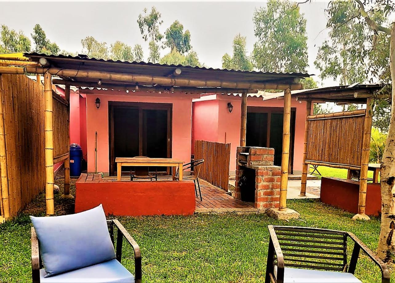 Bungalow with Garden View photo 1