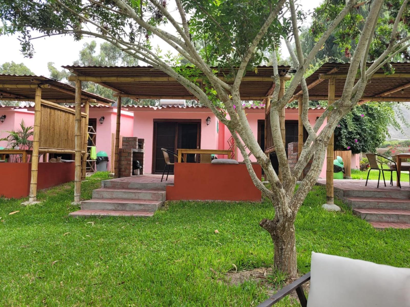 Bungalow with Garden View photo 2