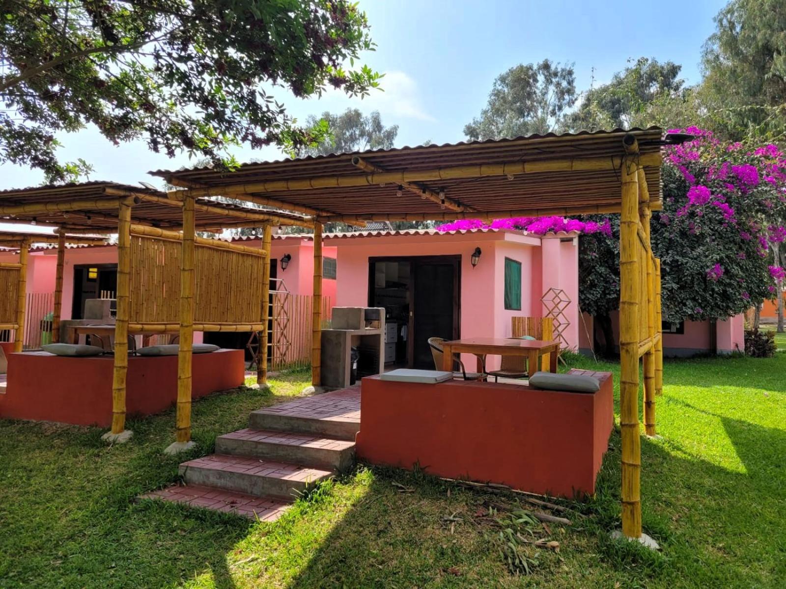 Bungalow with Garden View photo 1