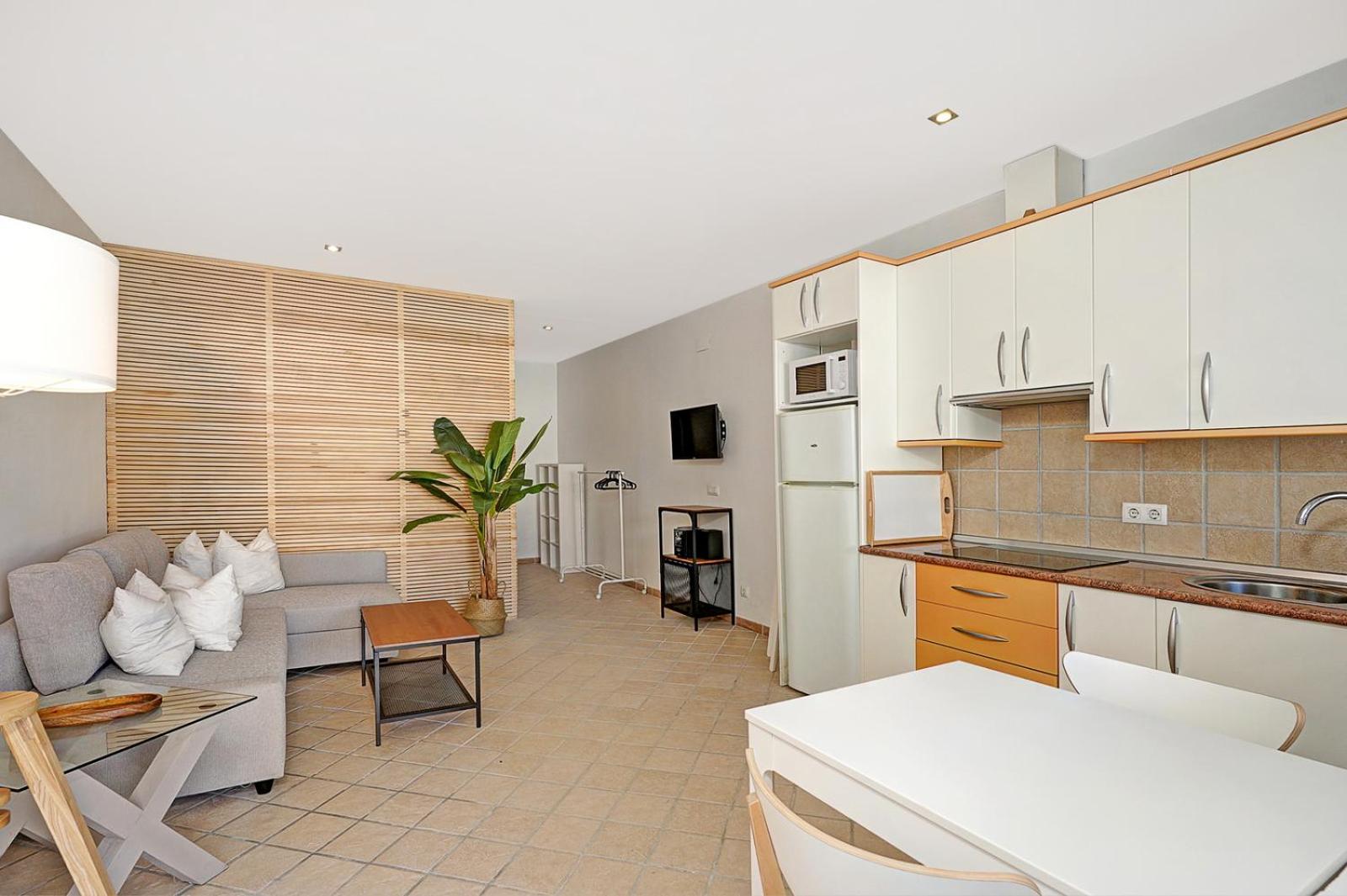 Apartamento de una habitación
