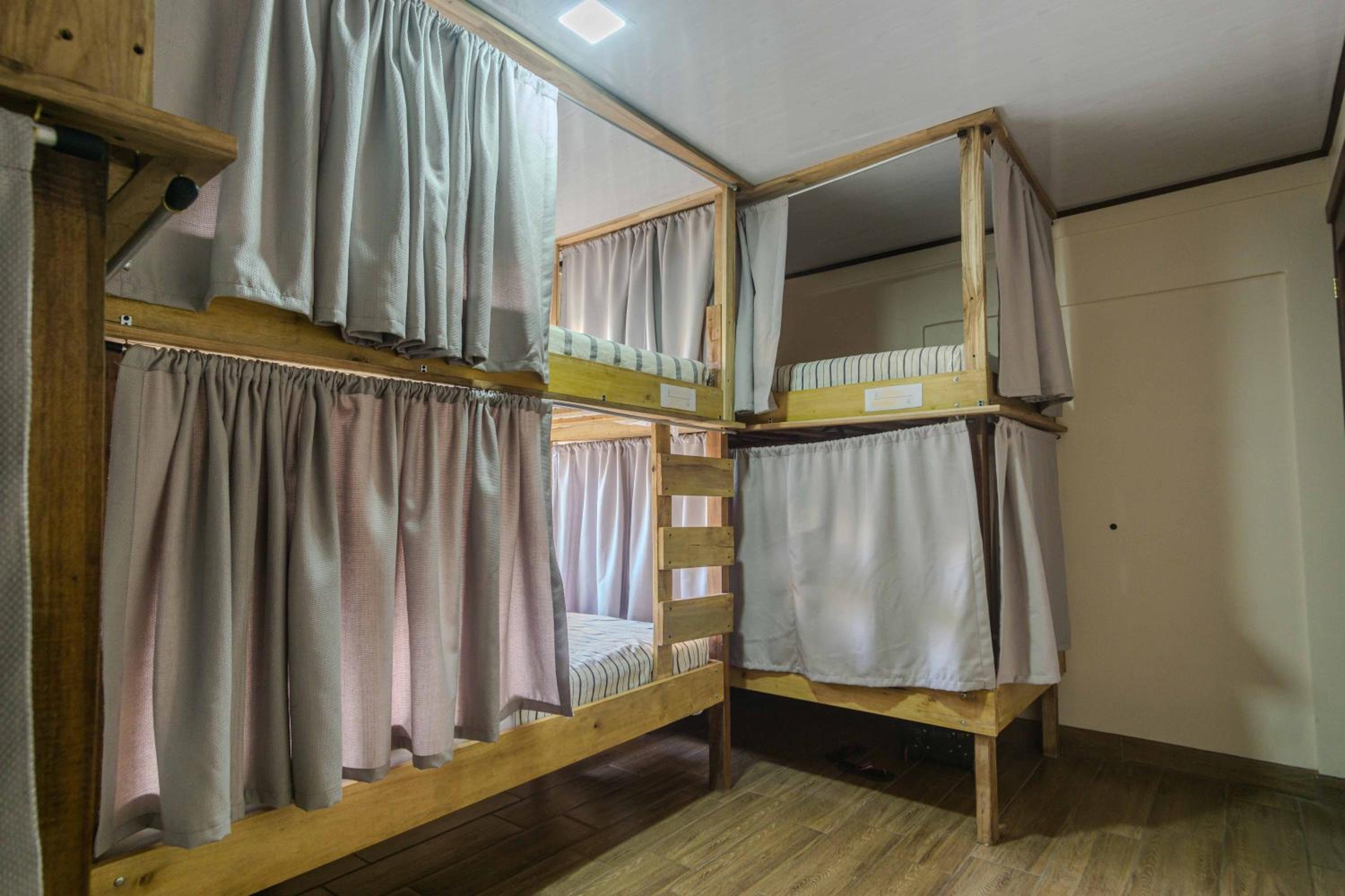 Single Bed in 6-Bed Dormitory Room photo 1